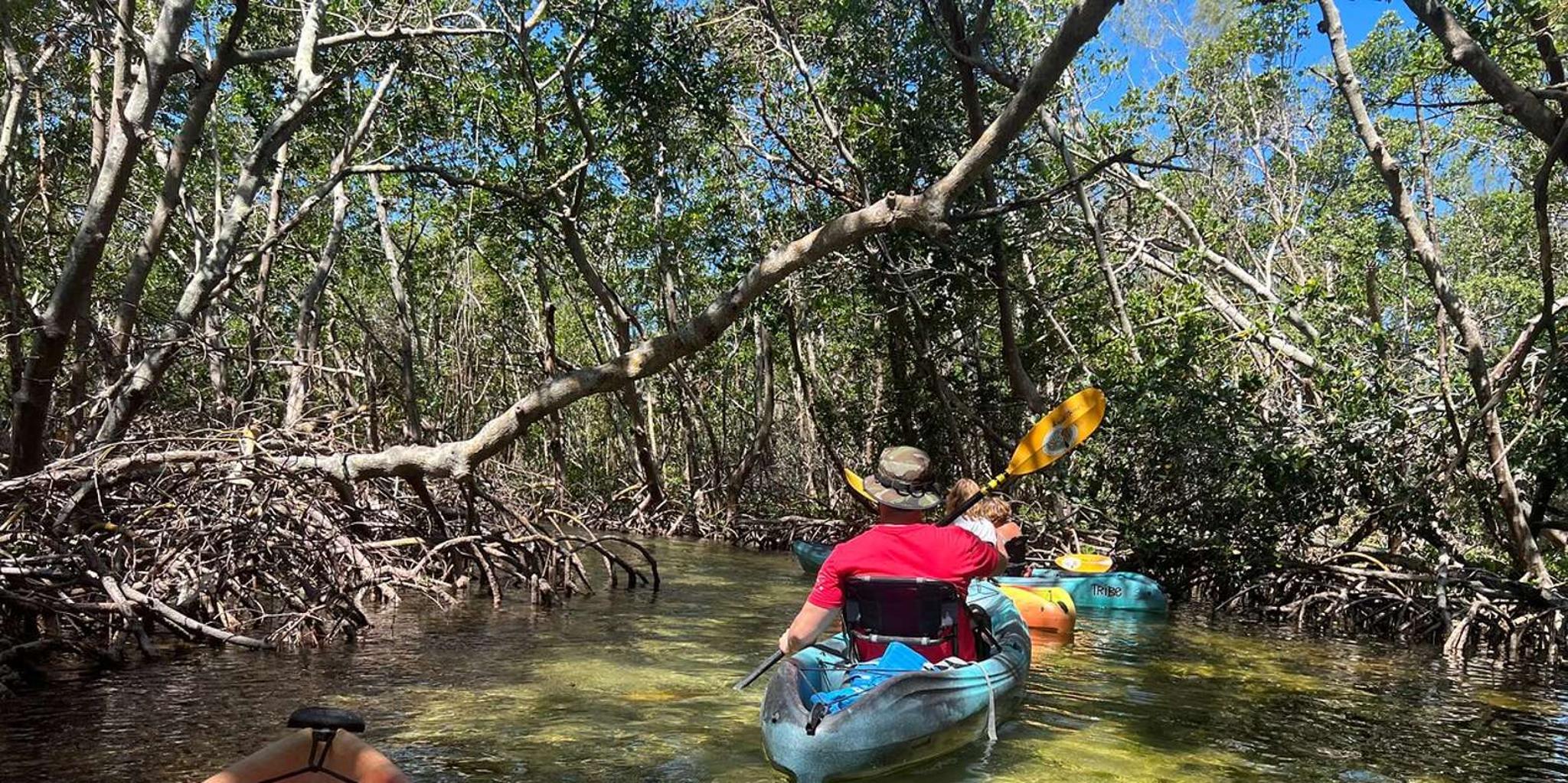 Sarasota Mangrove Kayak Tour with Hidden Beach - Image 2