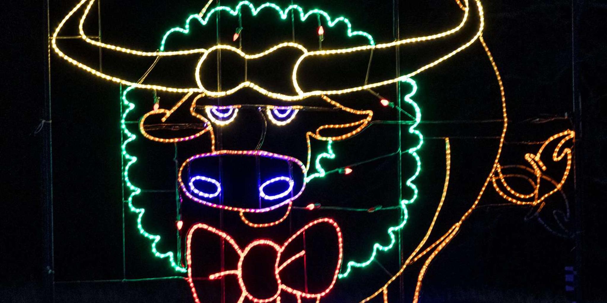 Branson Christmas Lights Drive-Thru - Image 6