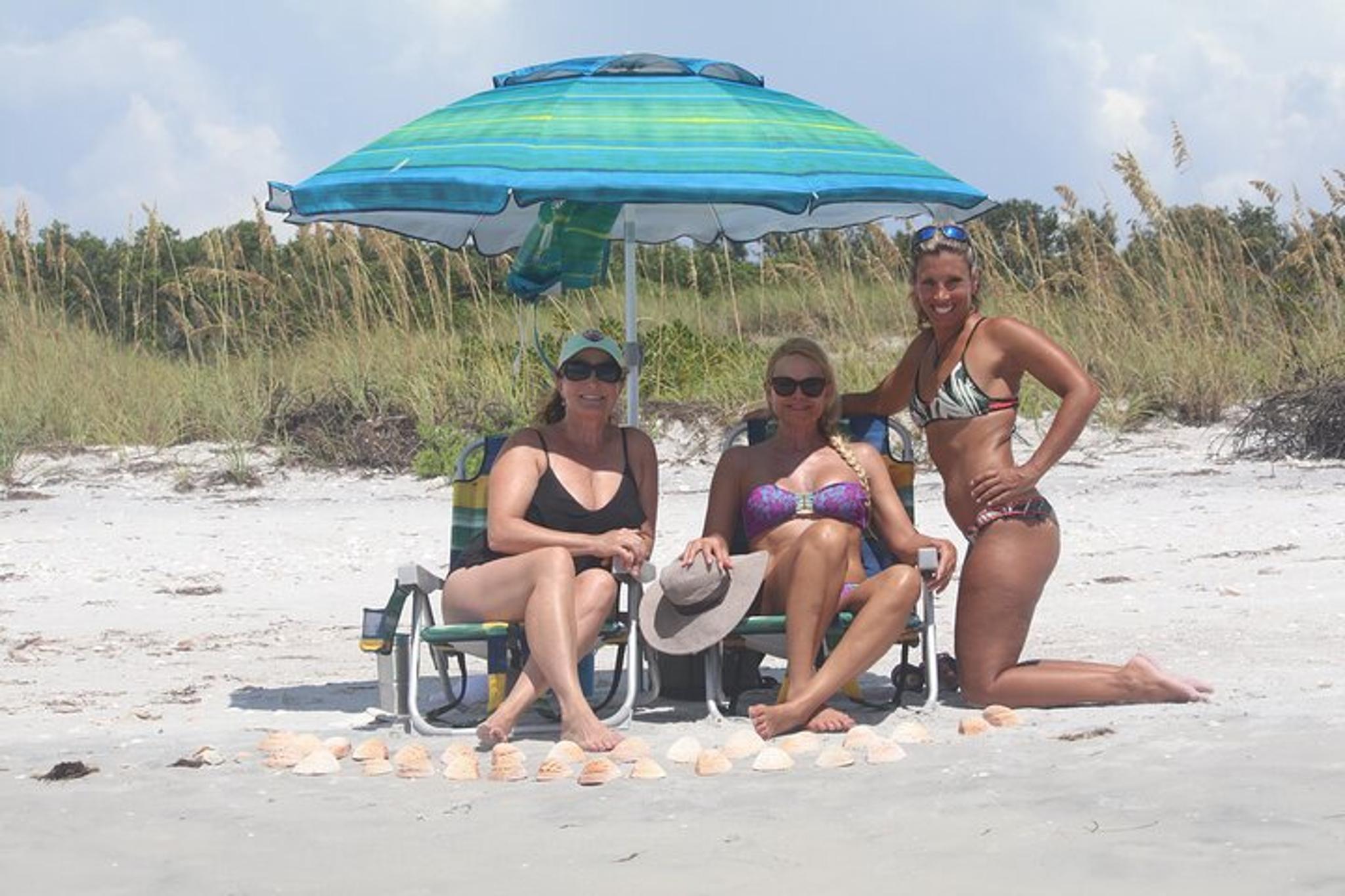 St. Pete Beach Dolphin Adventure and Shell Key Tour - Image 5