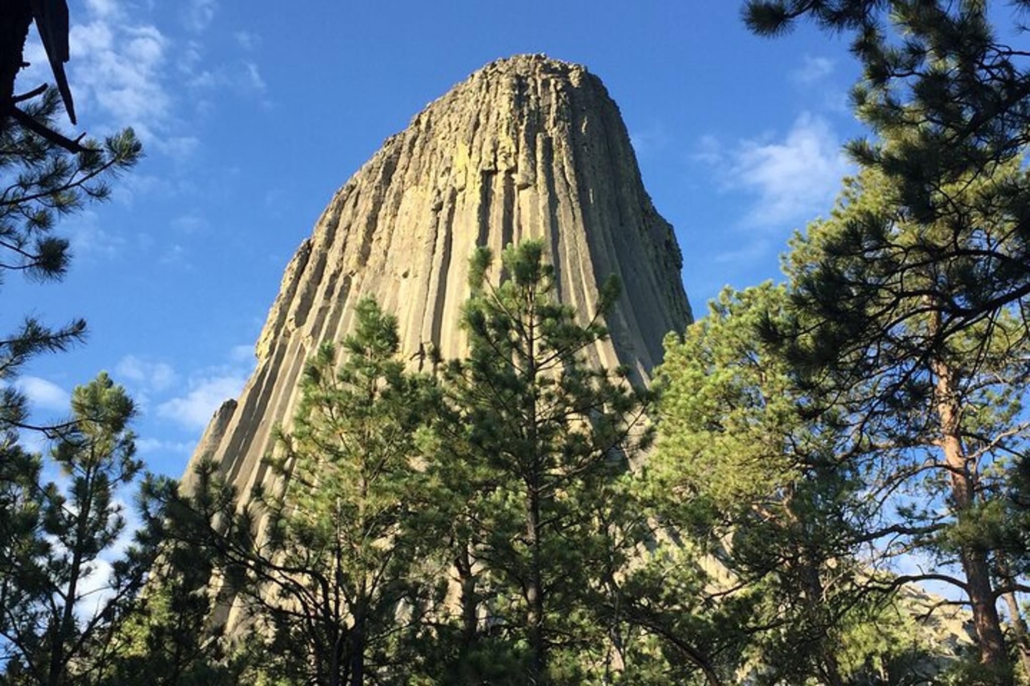 Denver Yellowstone National Park Tour 4 Days - Image 5