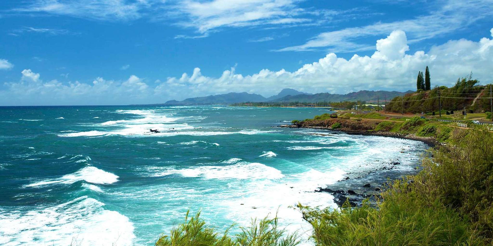 Kauai River Cruise and Lighthouse Tour - Image 5