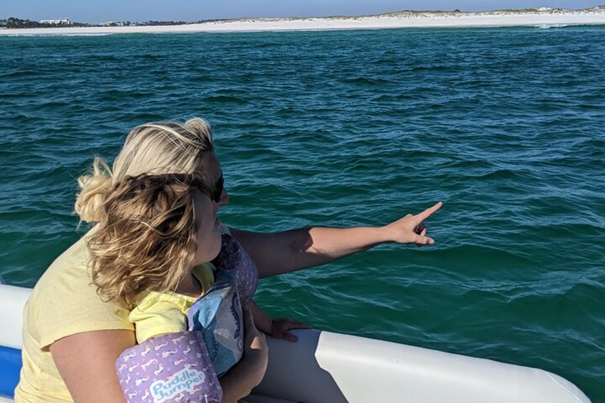 Panama City Beach Dolphin Tour Guided by Marine Biologist 2 hr - Image 5