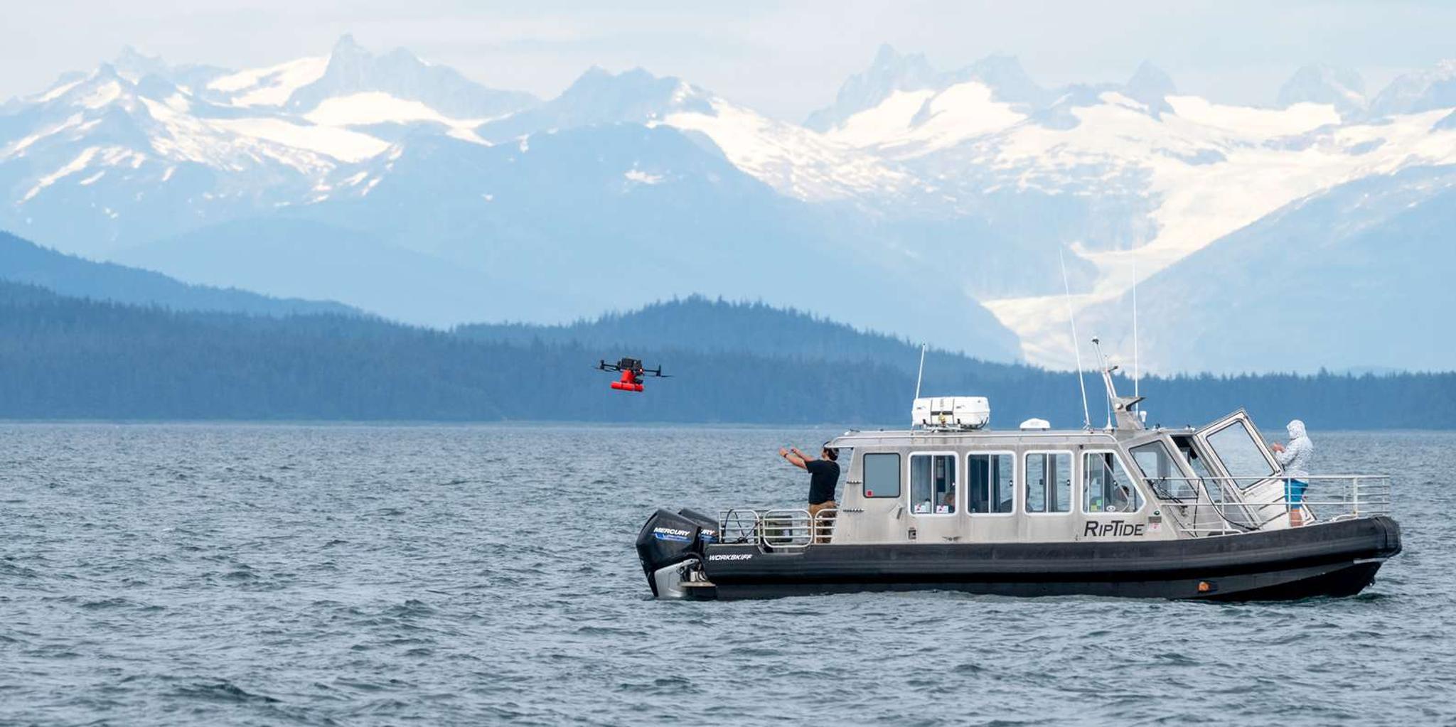 Hoonah Whale Watching with Drone Filmography