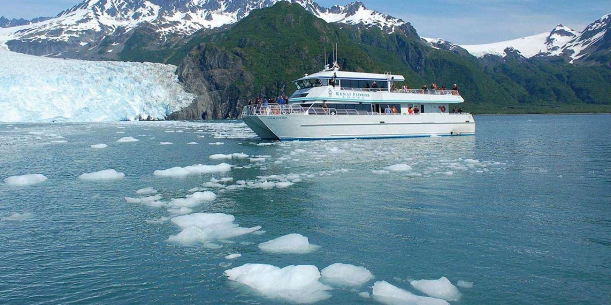 Seward Wildlife and Glacier Cruise 4 hr - Image 3