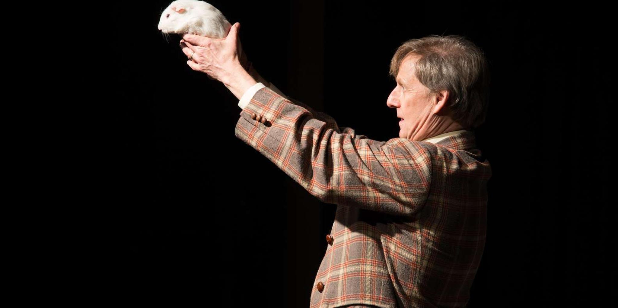 Las Vegas Comedy Magic Show at Excalibur - Image 2