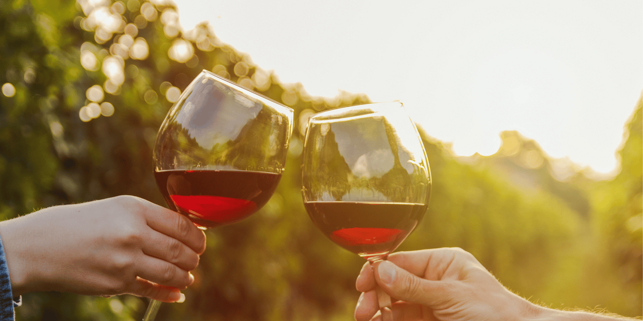 Austin Hill Country Wine Shuttle - Image 6