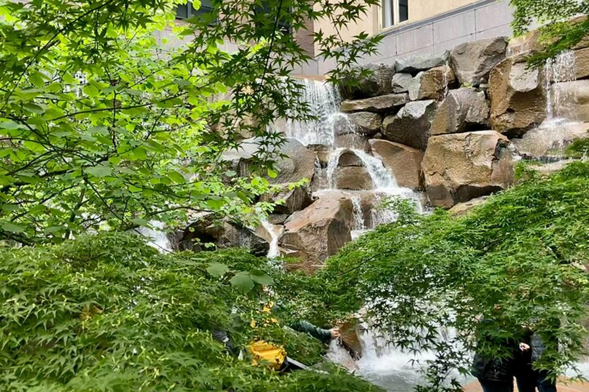 Seattle Walking Tour - Image 6