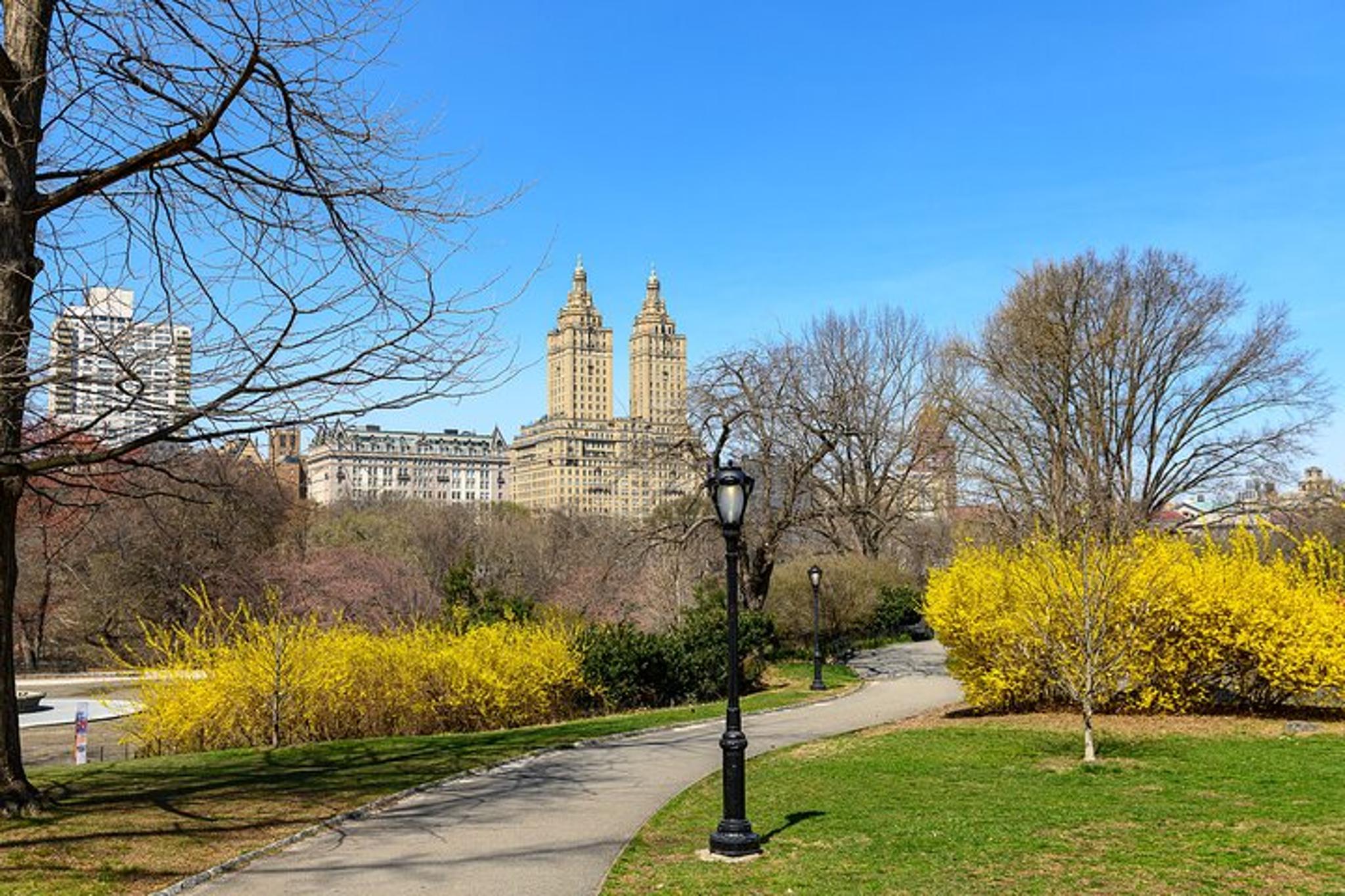 New York Central Park E-Scooter Rental 60 Min - Image 4