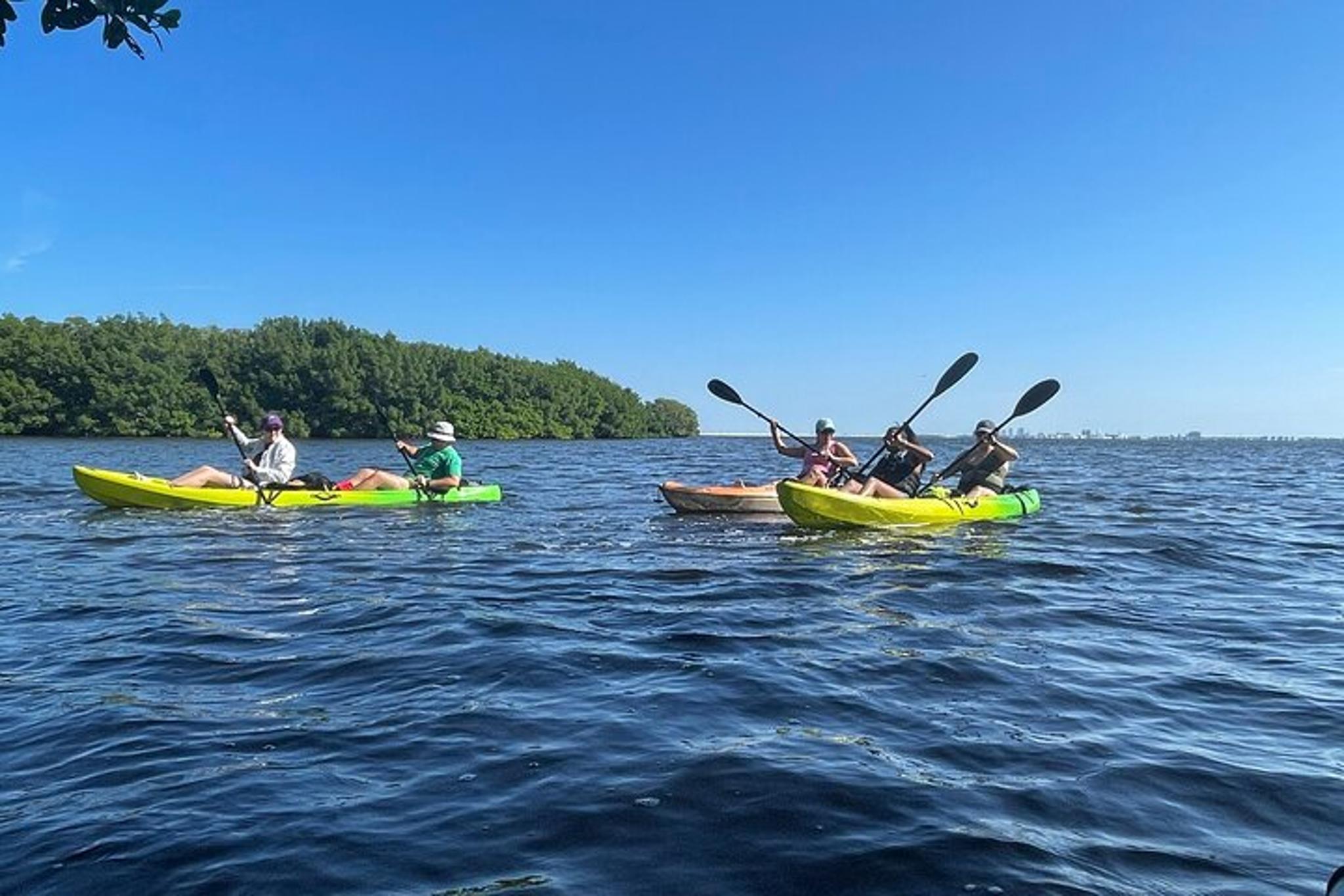 Tierra Verde Kayak Adventure at Shell Key Preserve - Image 3