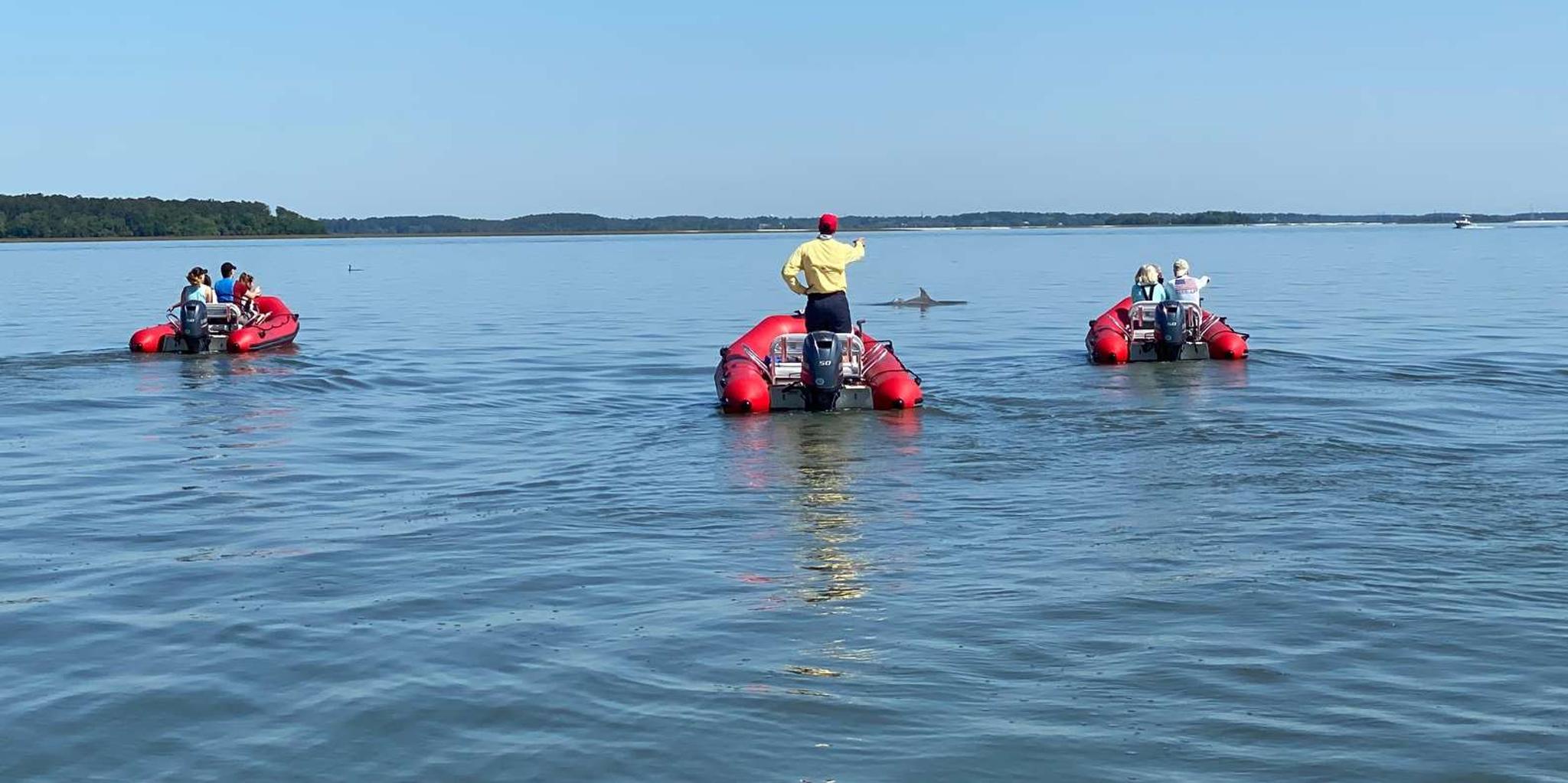 Hilton Head Mini Boat Tour to Disappearing Island - Image 5
