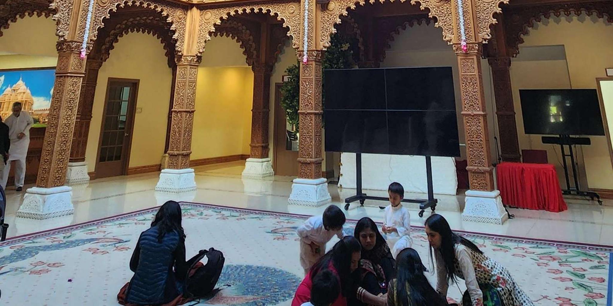 Chicago Suburbs Hidden Gems Tour - Image 5