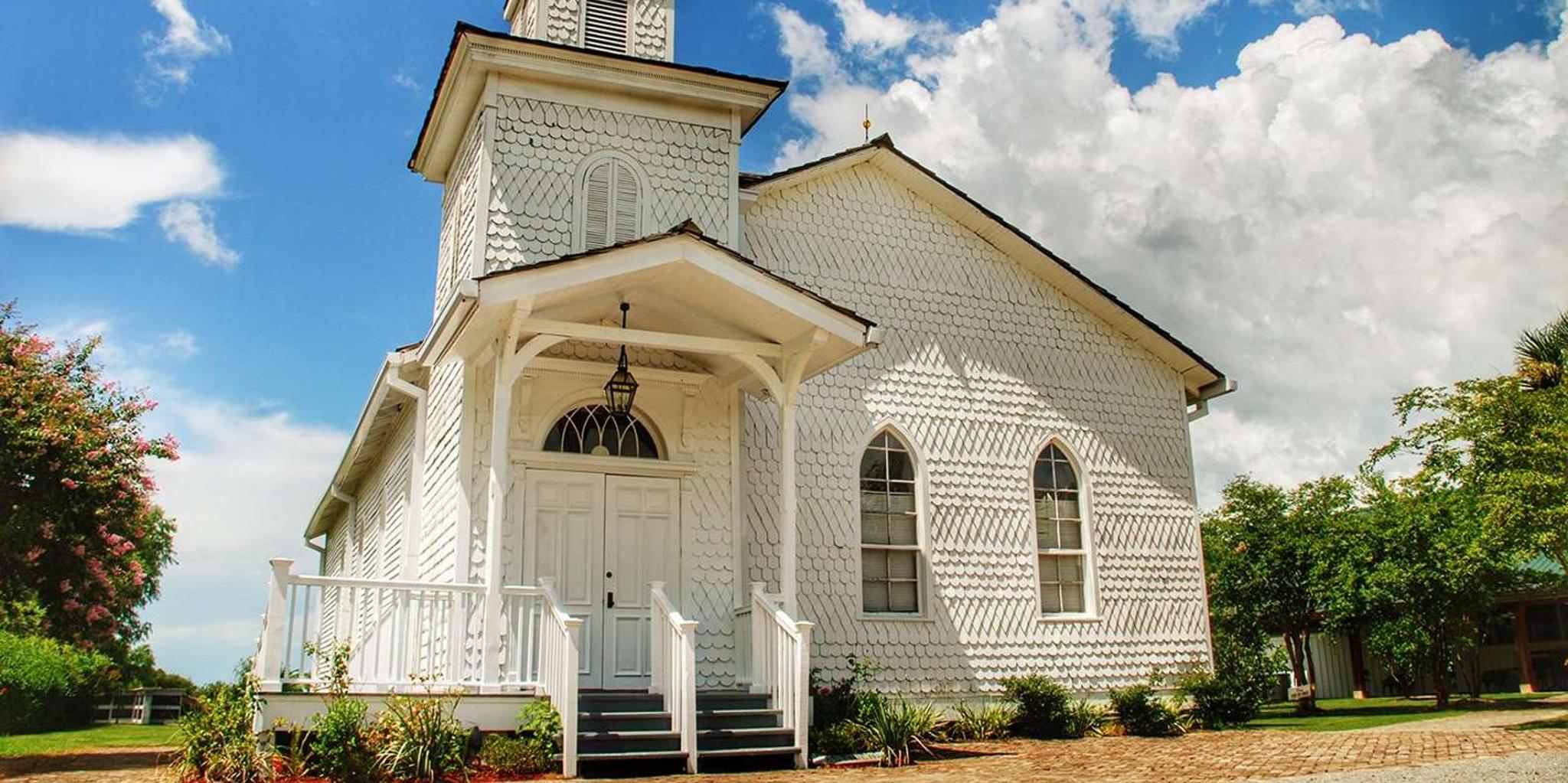 New Orleans Swamp Boat and Plantation Tour - Image 6