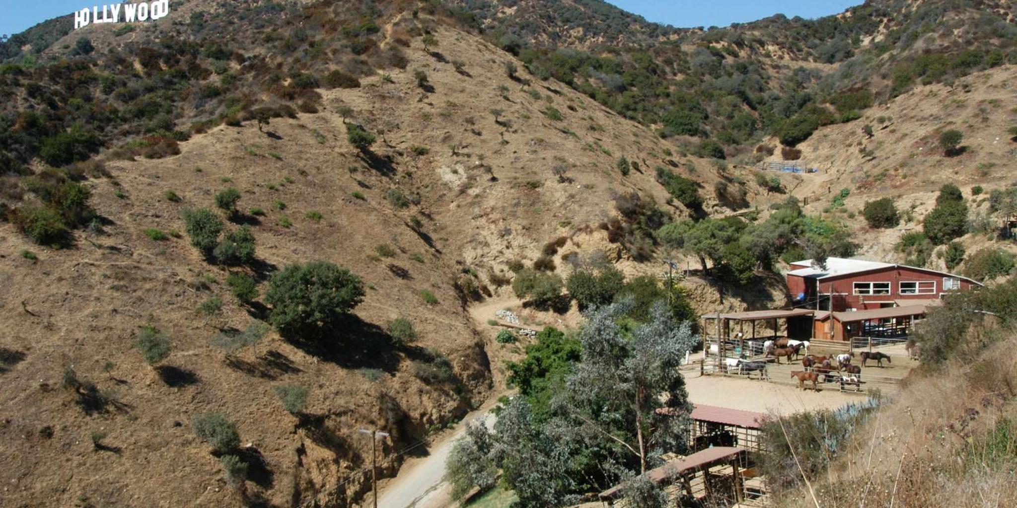 Los Angeles Horseback Riding Tour in Griffith Park