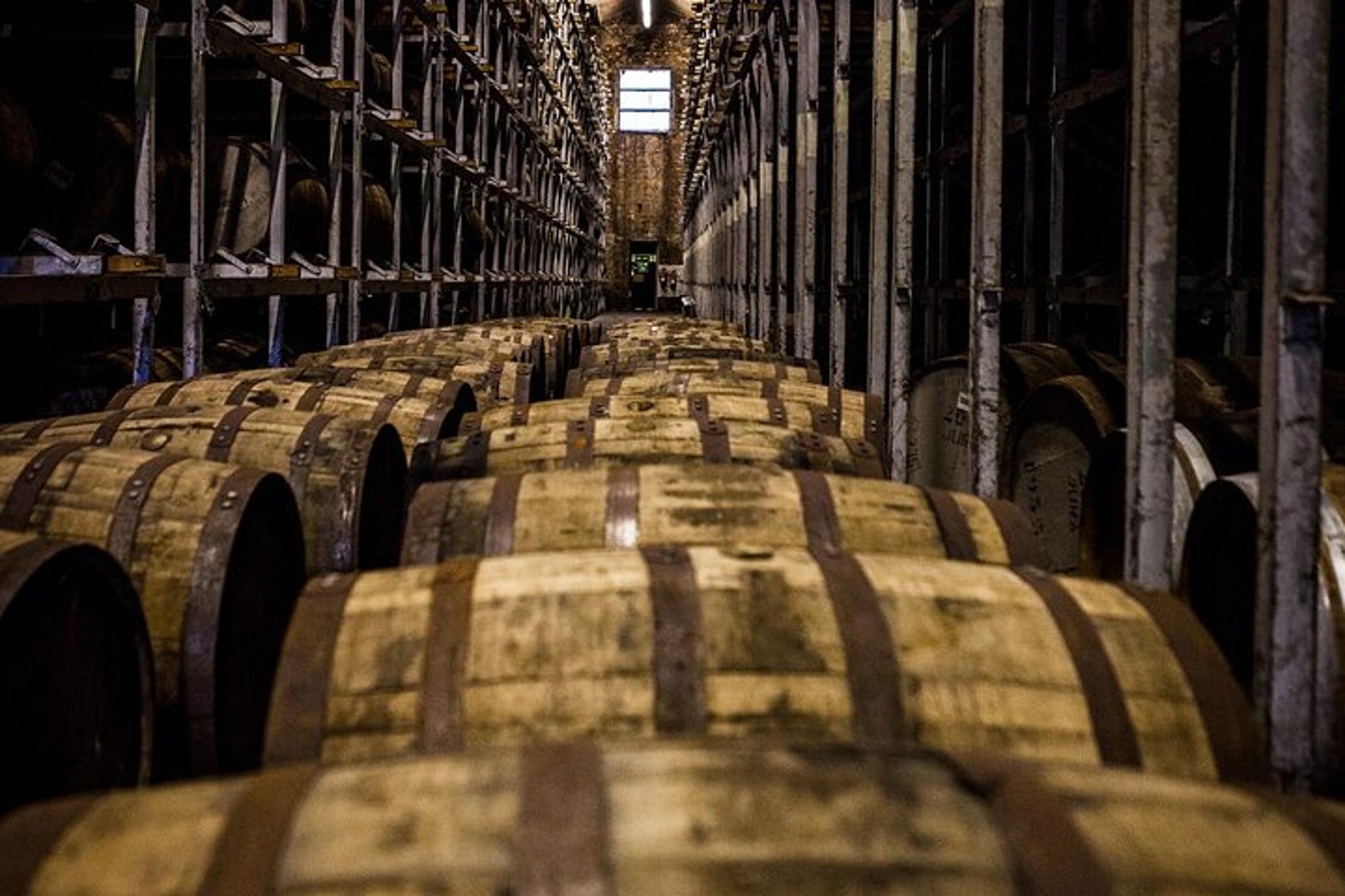 Louisville Bourbon Distillery Tour - Image 4