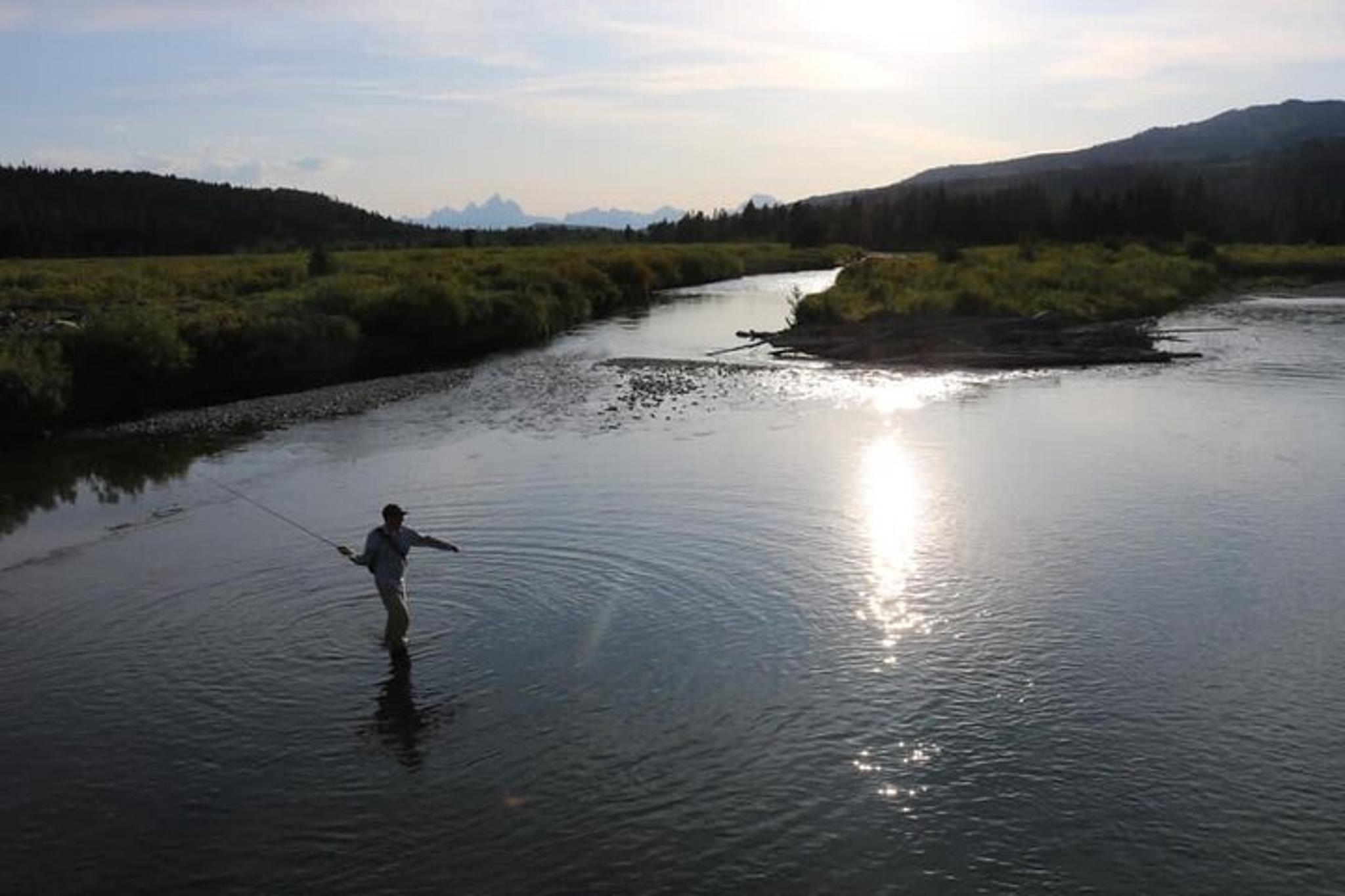 Wyoming Fly Fishing Half-Day - Image 2