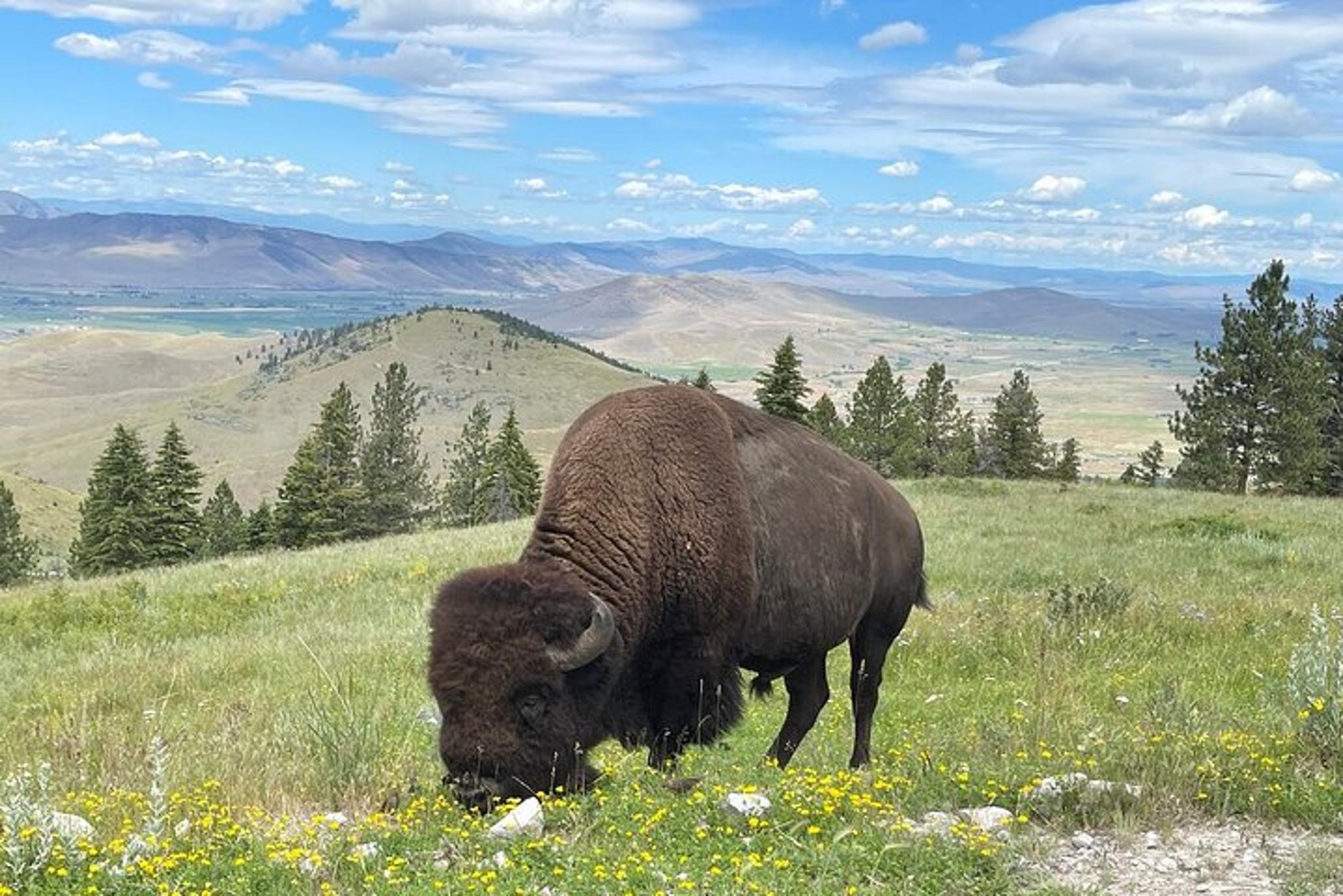 Flathead Lake Scenic Driving Tour - Image 4