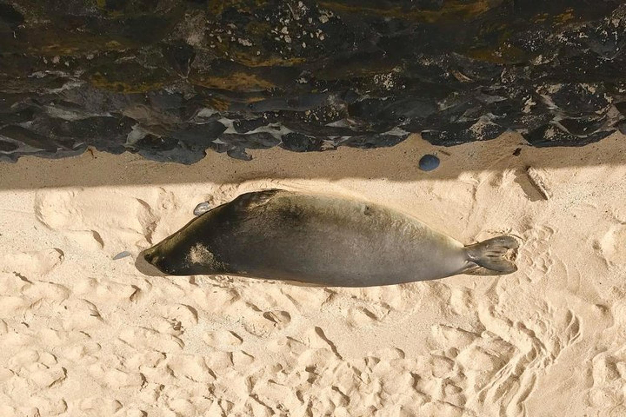 Maui Private Island Tour - Image 6