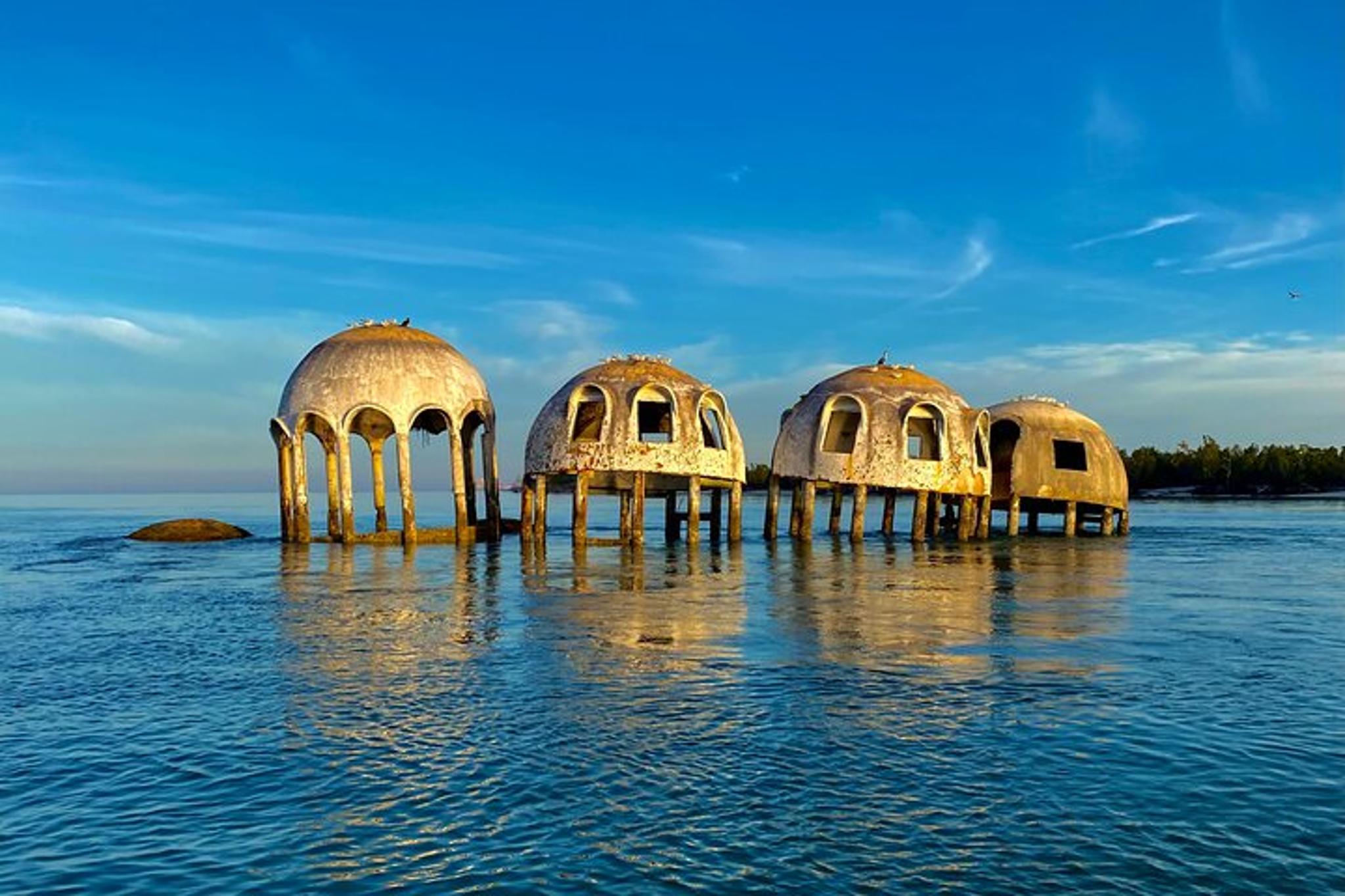 Ten Thousand Islands Eco Dolphin Tour - Image 6