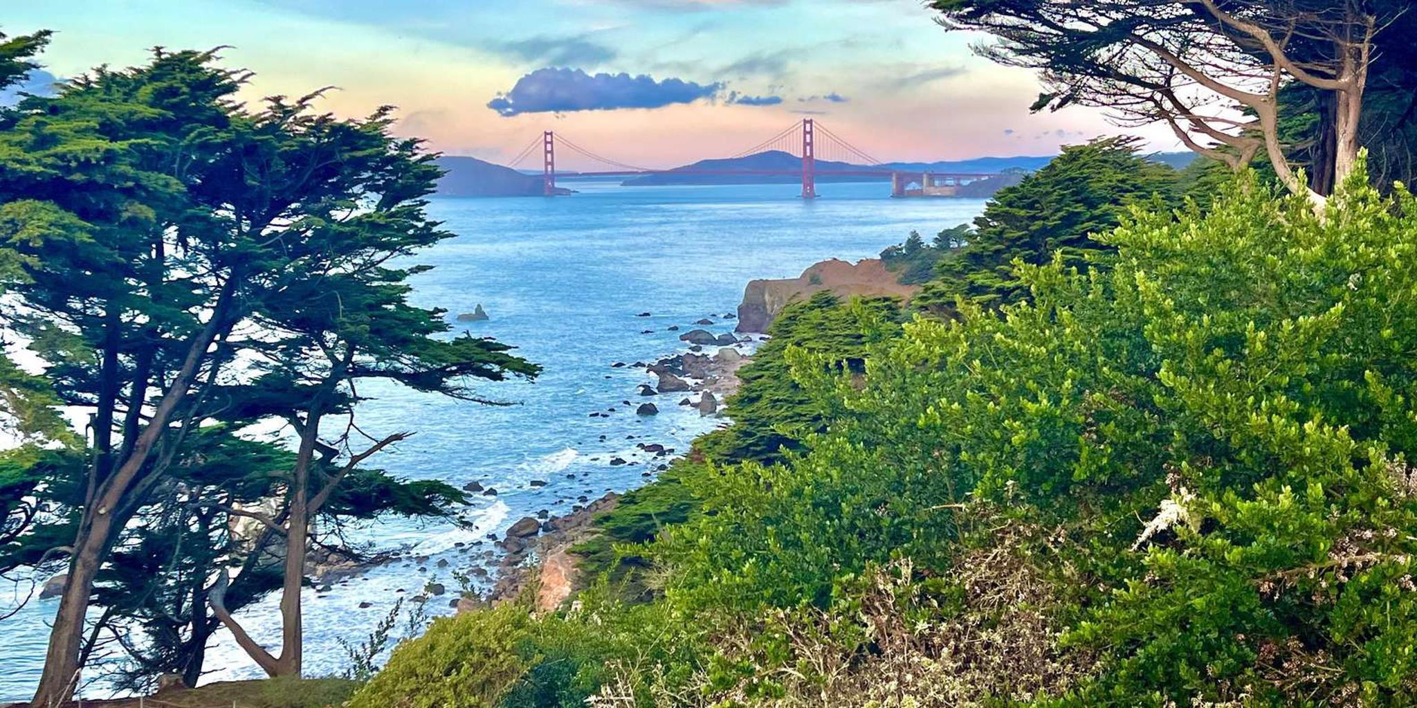 San Francisco Wild Coast Walking Tour - Image 4