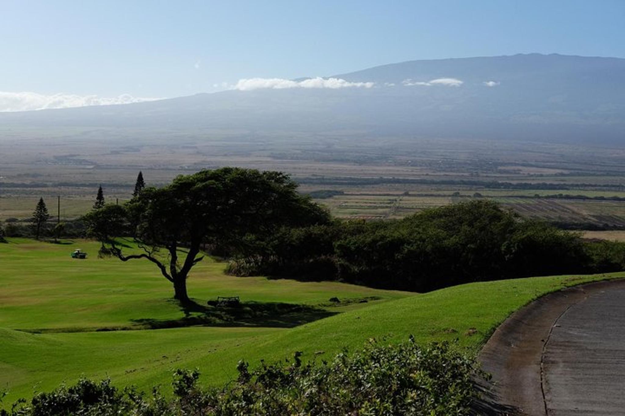 Maui Rainforest Valley Tour - Image 4