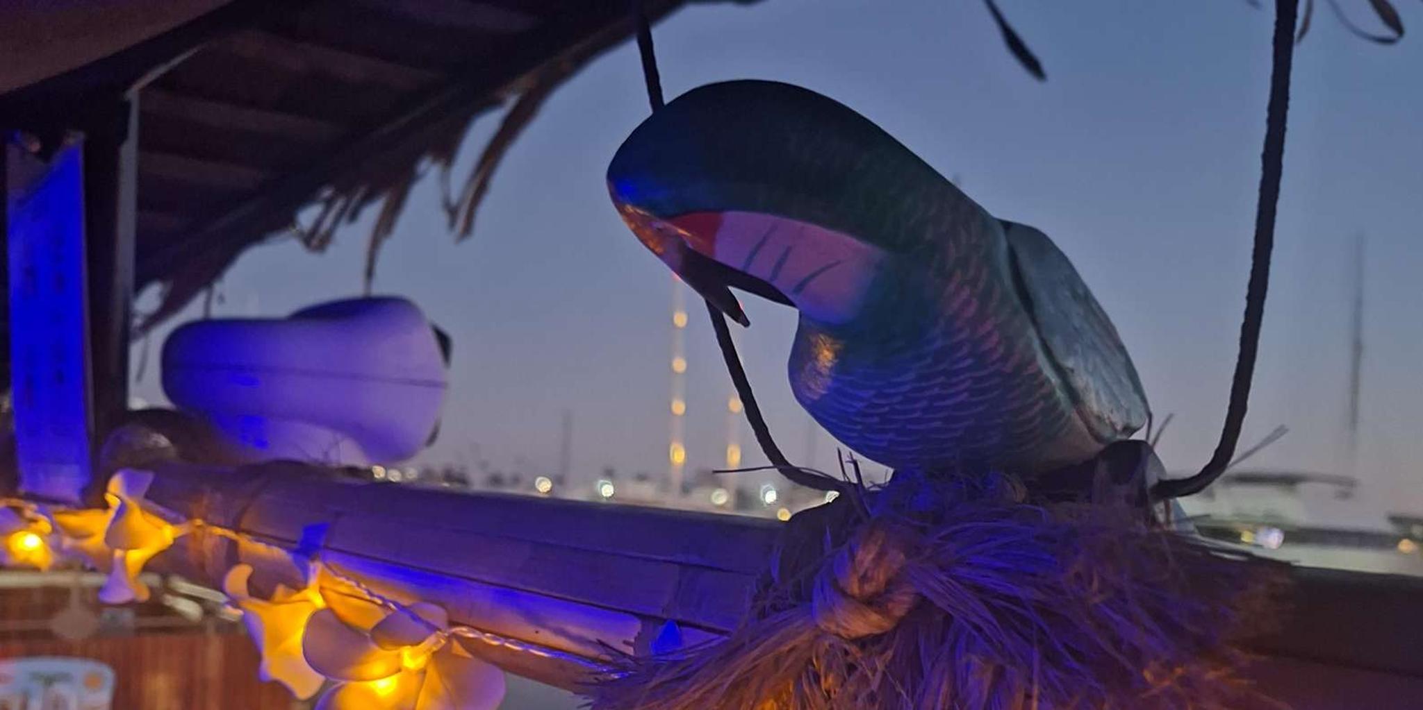 San Diego Jazz Cruise on Laki's Lounge - Image 3