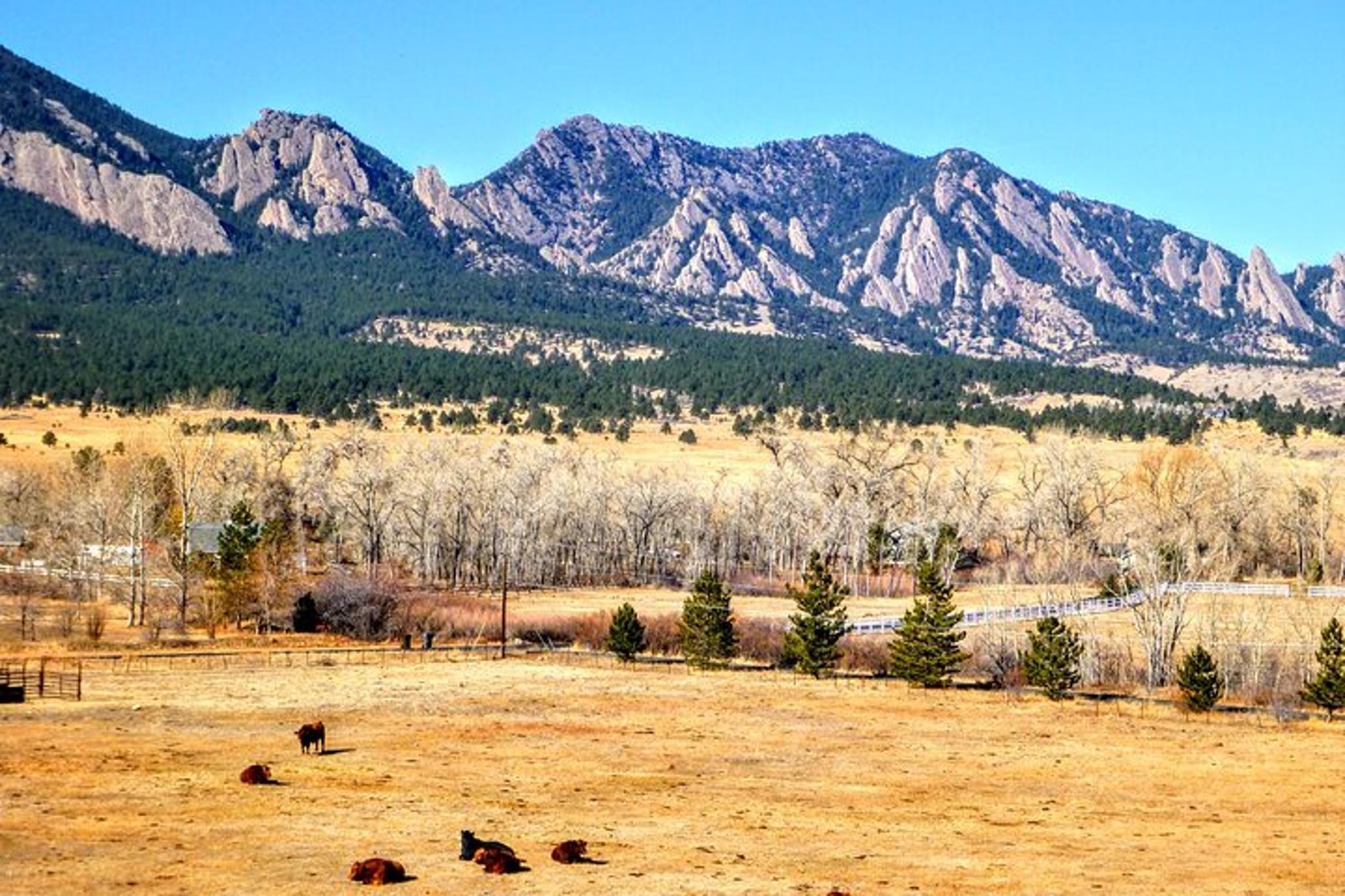 Denver E-Bike Tour in the Rockies 7 hr - Image 6