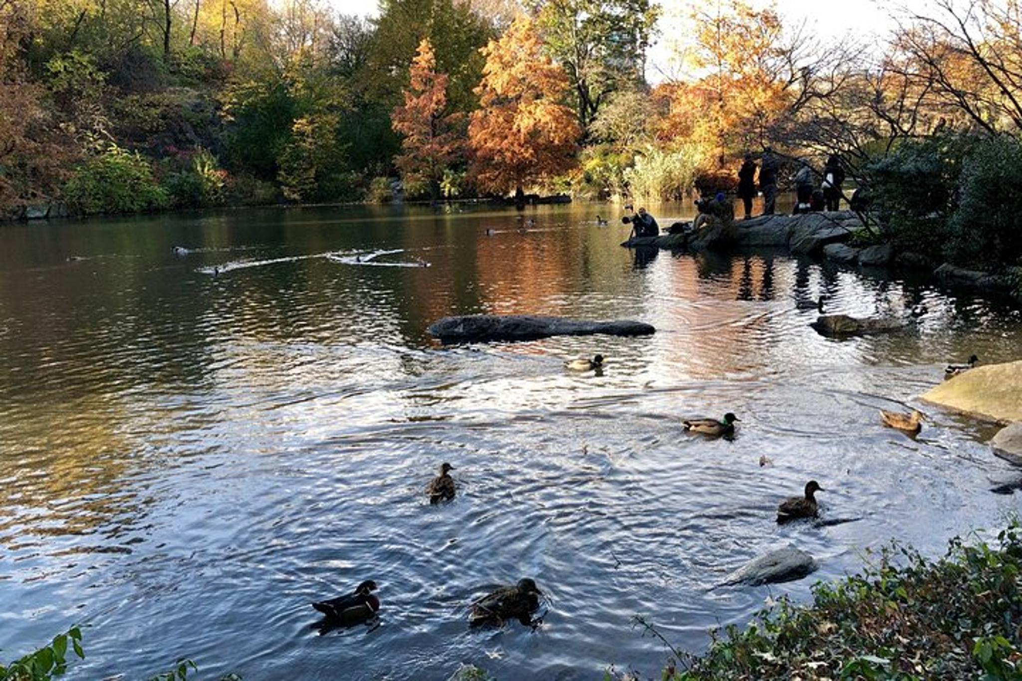 New York Central Park Virtual Tour - Image 5