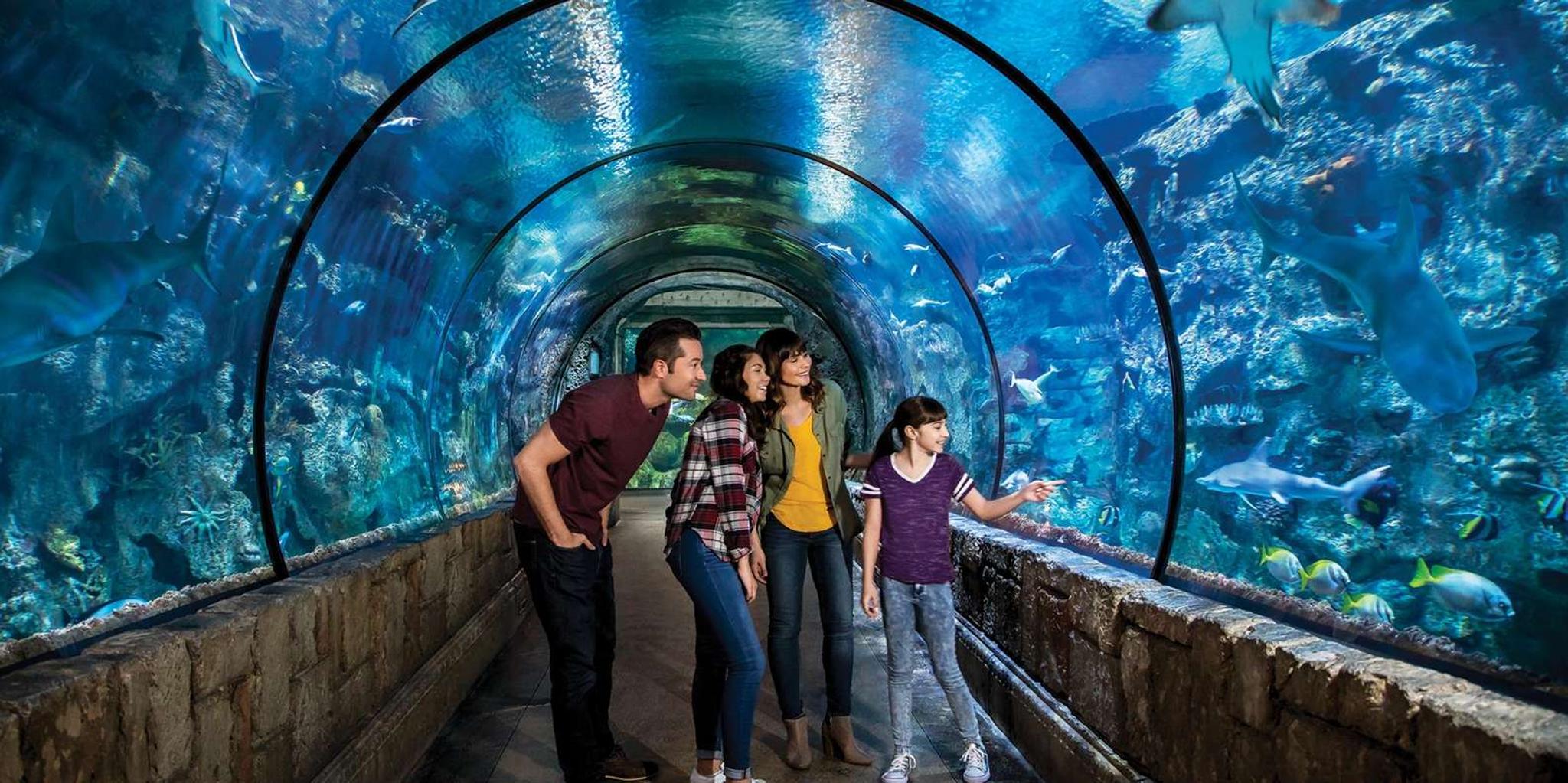 Las Vegas Shark Reef Aquarium Entry