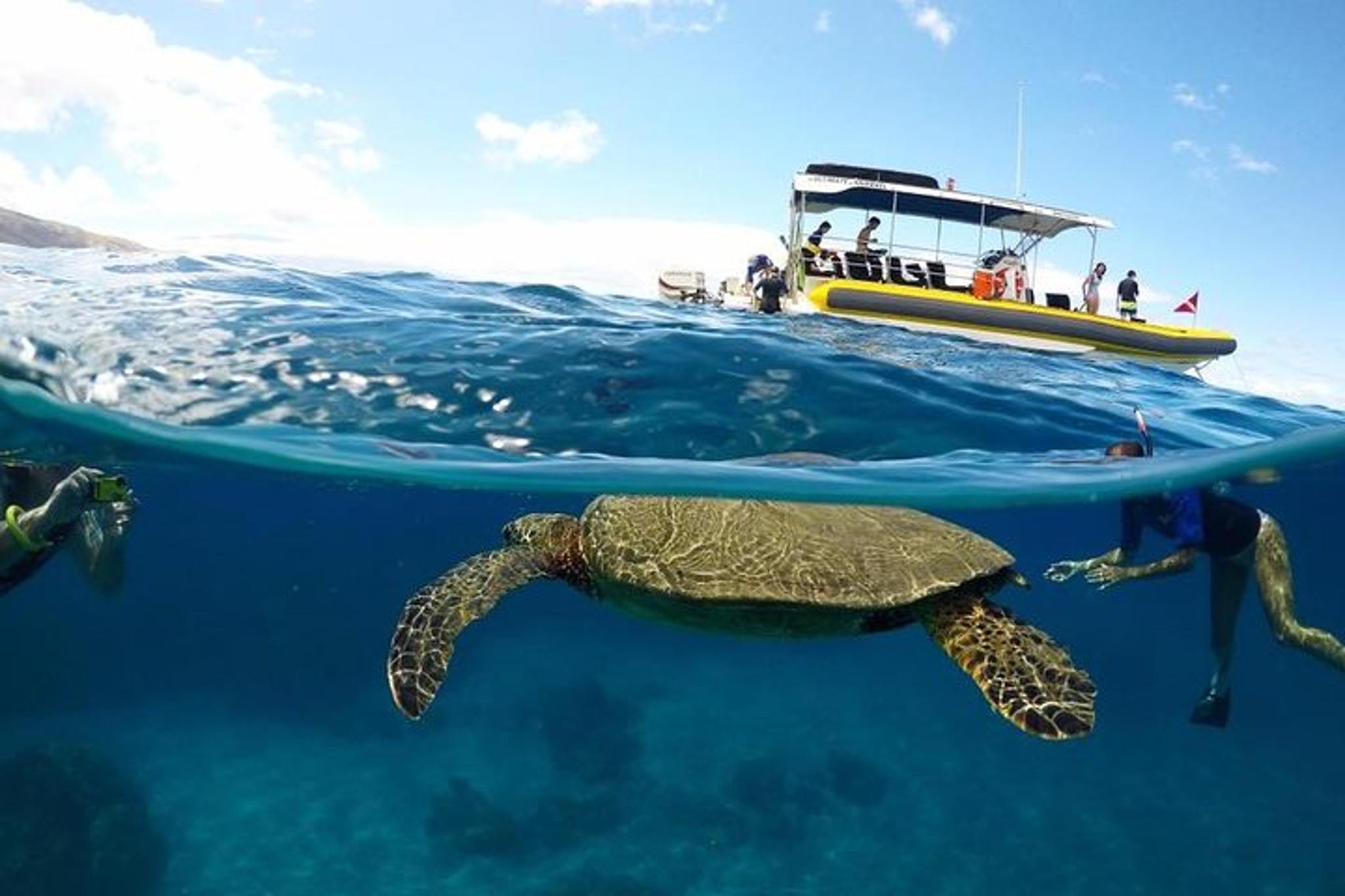 Lanai Snorkel and Dolphin Encounter 4 hr