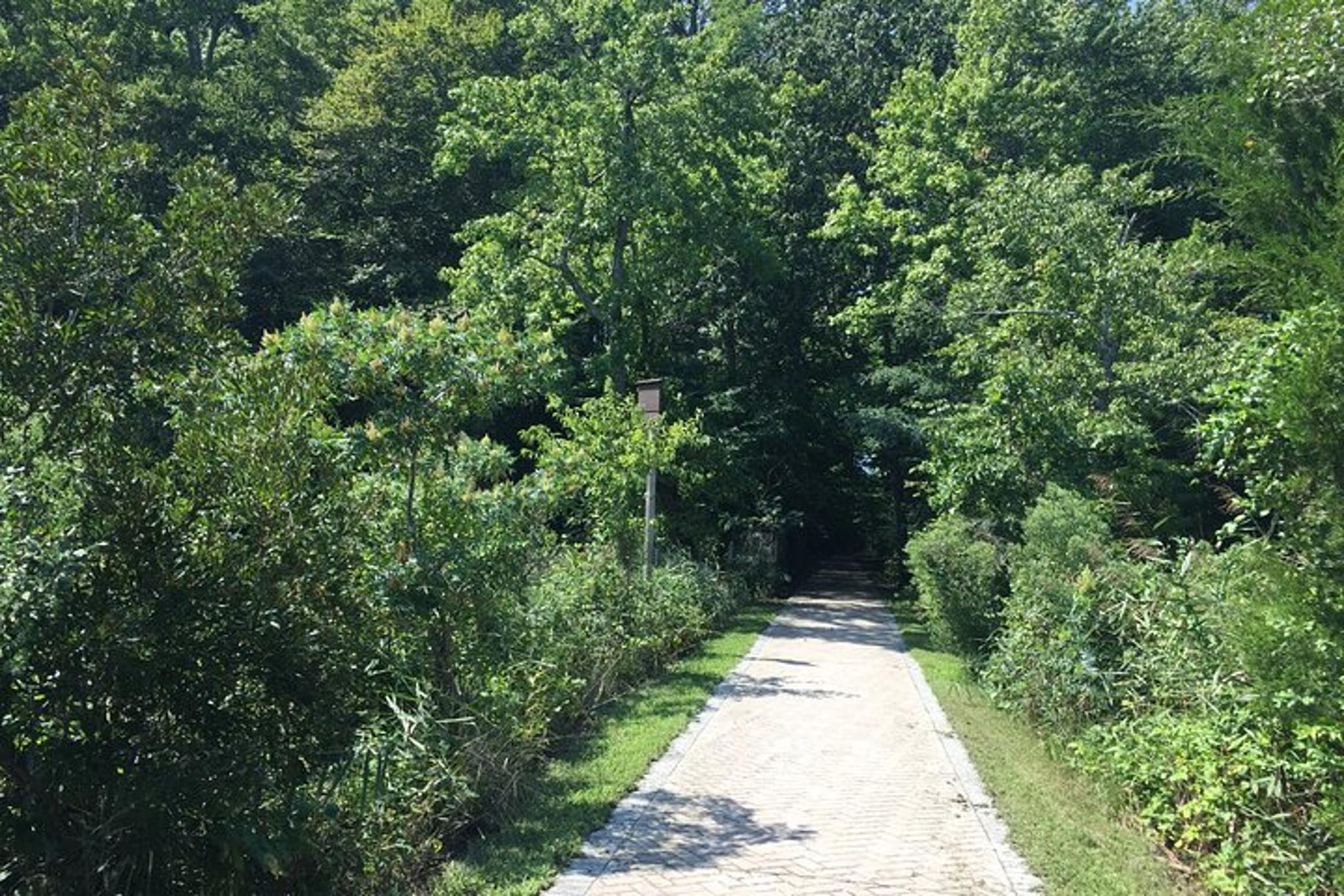 Chesapeake Beach Walking Tour Railway Trail - Image 6