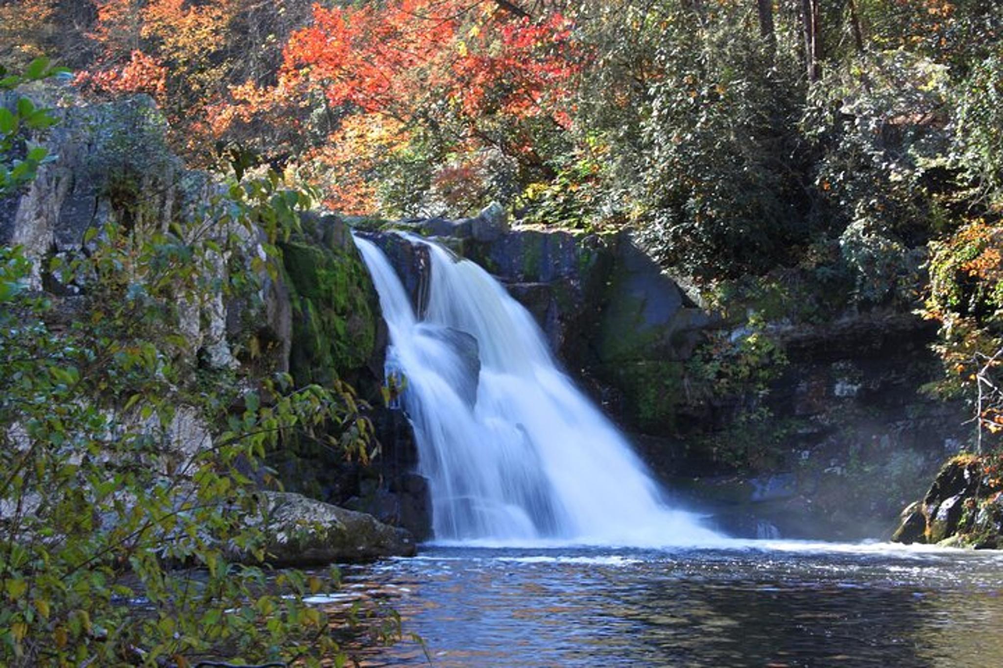 Gatlinburg Cades Cove Self-Guided Audio Driving Tour