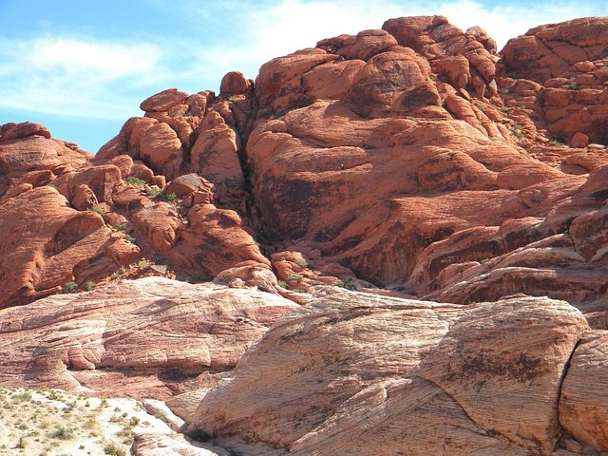 Las Vegas Mountain Bike Tour in Red Rock Canyon - Image 6