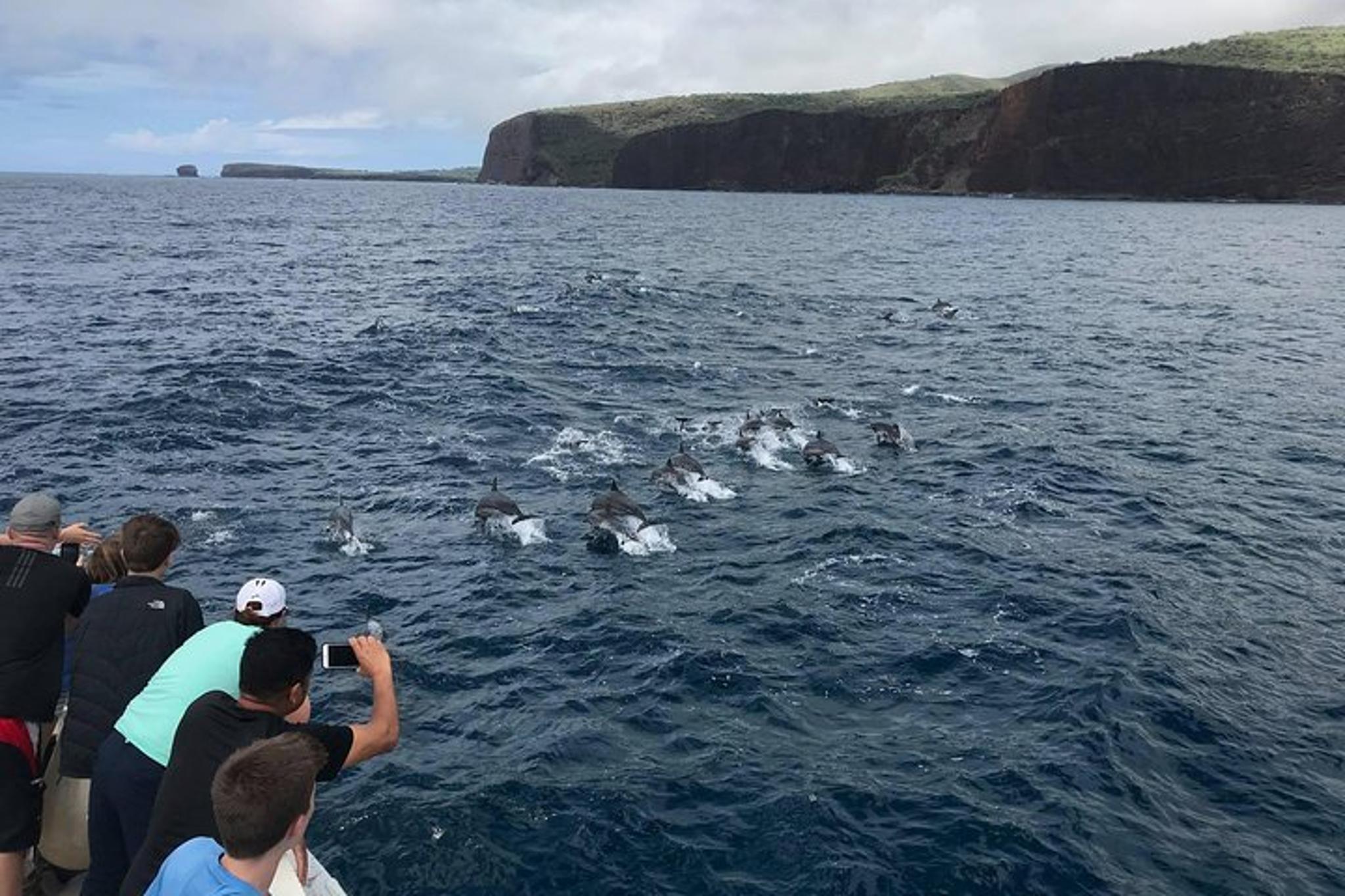 Maalaea Snorkel and Dolphin Watch - Image 4