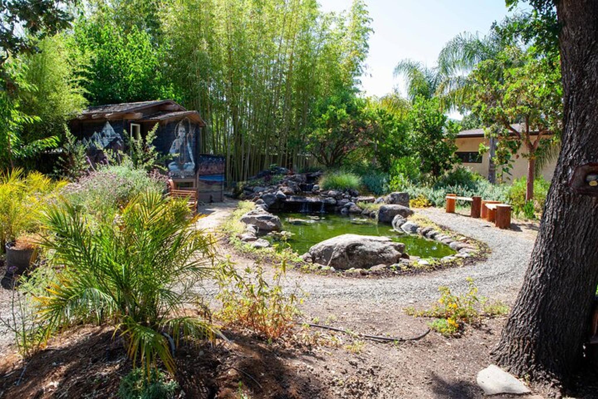 Sonoma Trike Tour and Mindfulness Experience - Image 6