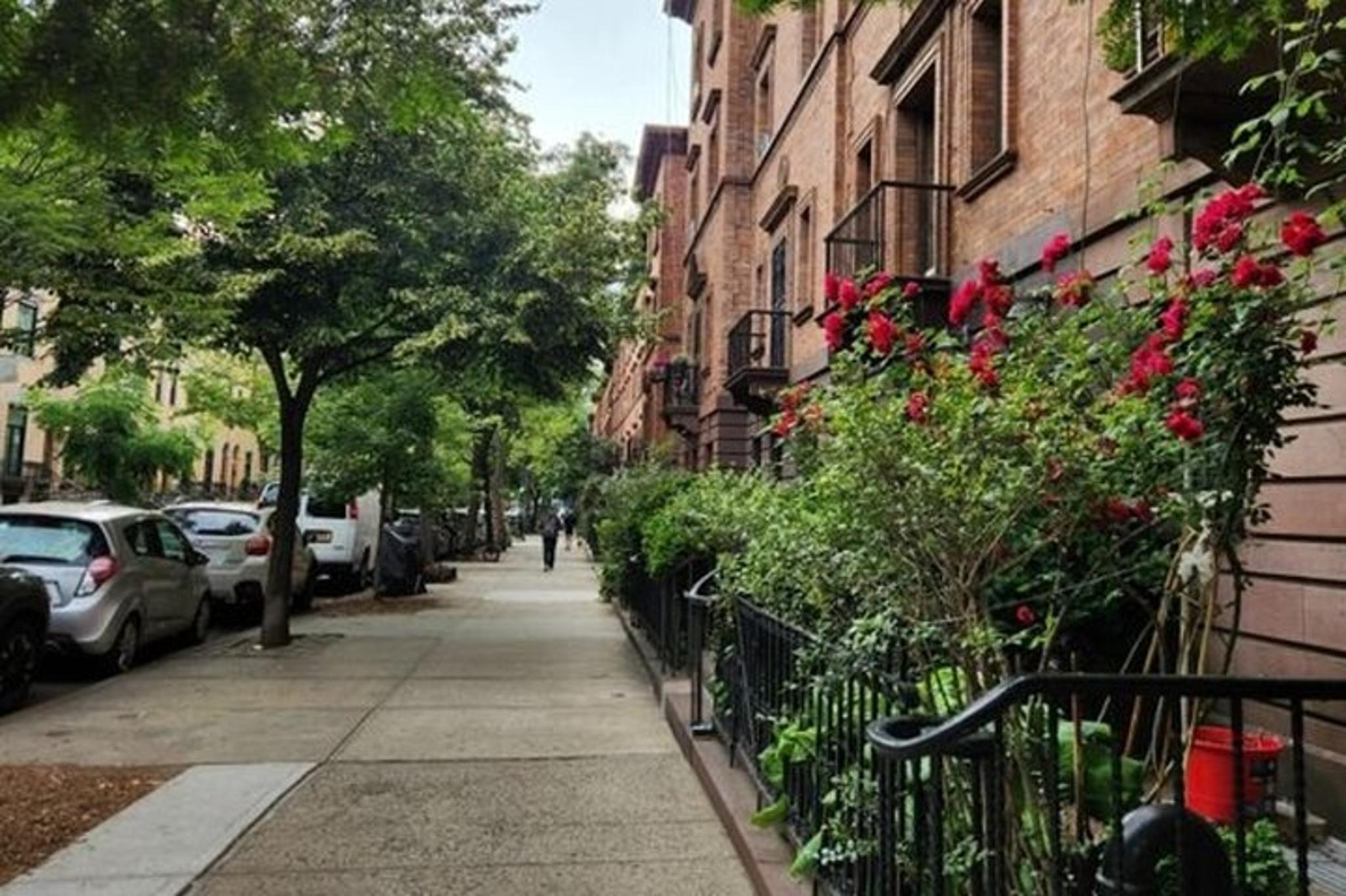 New York City Harlem Walking Tour - Image 4