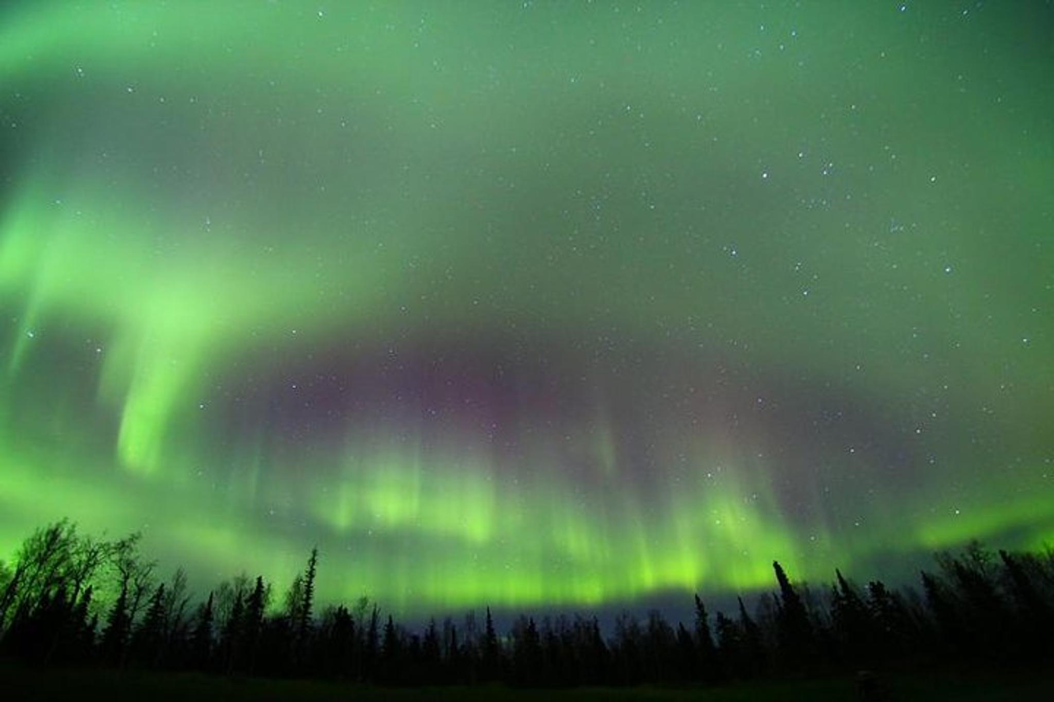 Fairbanks Northern Lights Murphy Dome Tour - Image 6