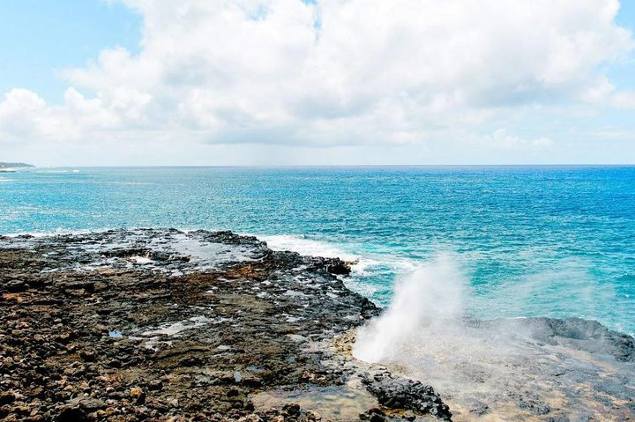 Kauai Canyons & Coastlines Tour - Image 6