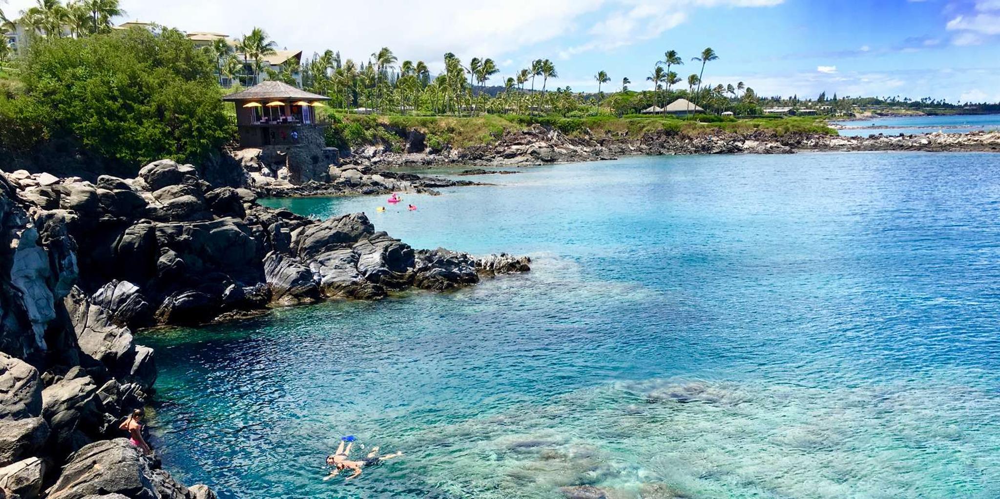 Maui Private Valley Isle Tour - Image 3