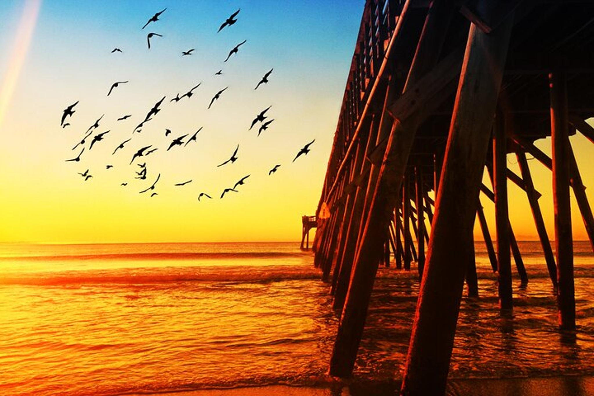 Myrtle Beach Professional Photo Shoot - Image 5