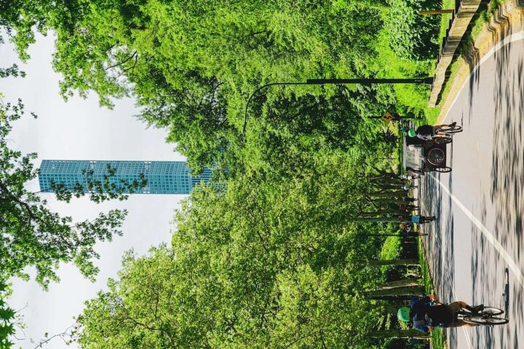 New York Central Park Bicycle Tour - Cinema - Image 5