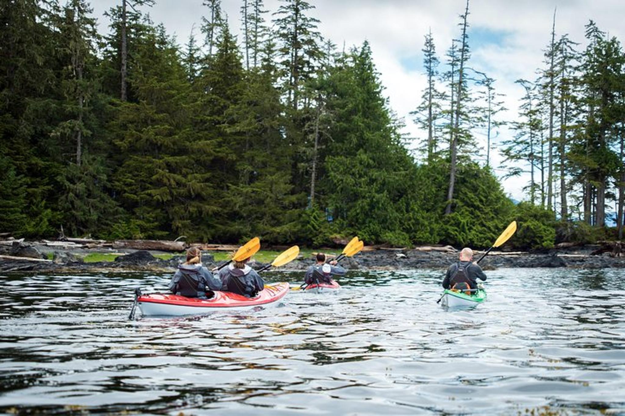 Ketchikan Kayak Tour with Boat Launch - Image 6