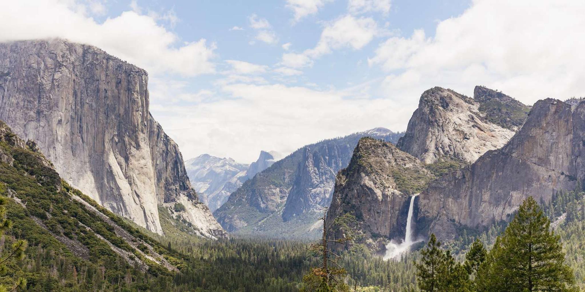 San Francisco Yosemite National Park Day Trip - Image 4