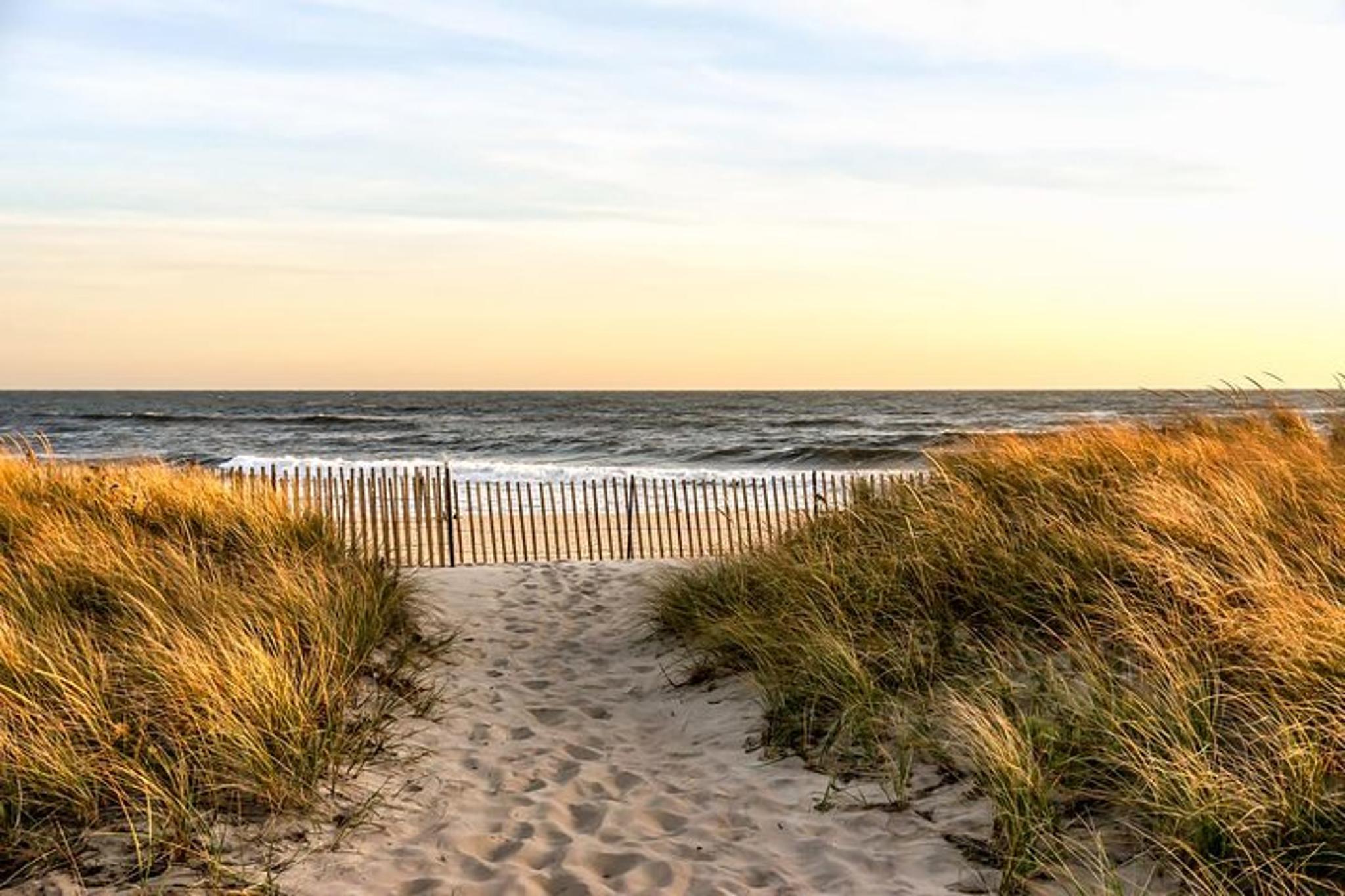 New York Helicopter Tour to the Hamptons - Image 2