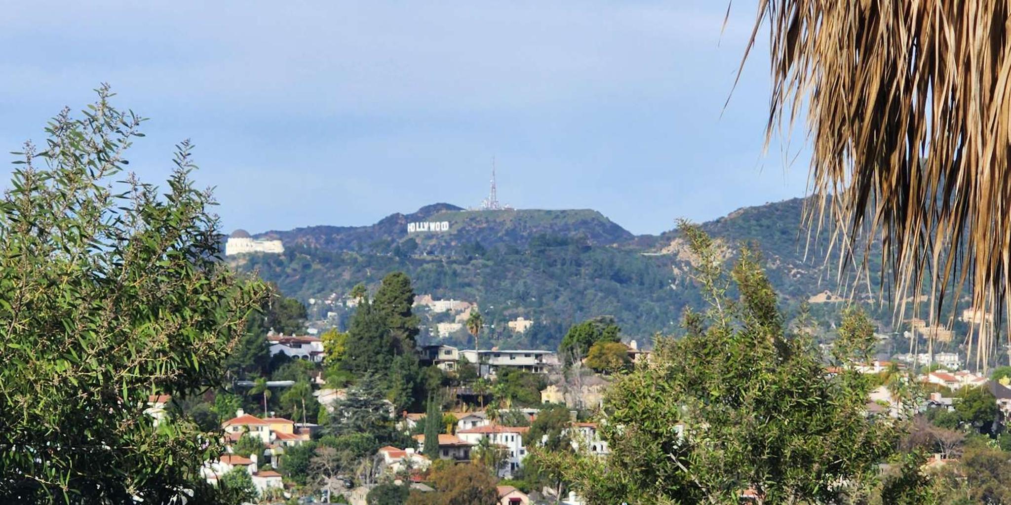 Los Angeles River Eco Tour and Secret Stair Hike - Image 3