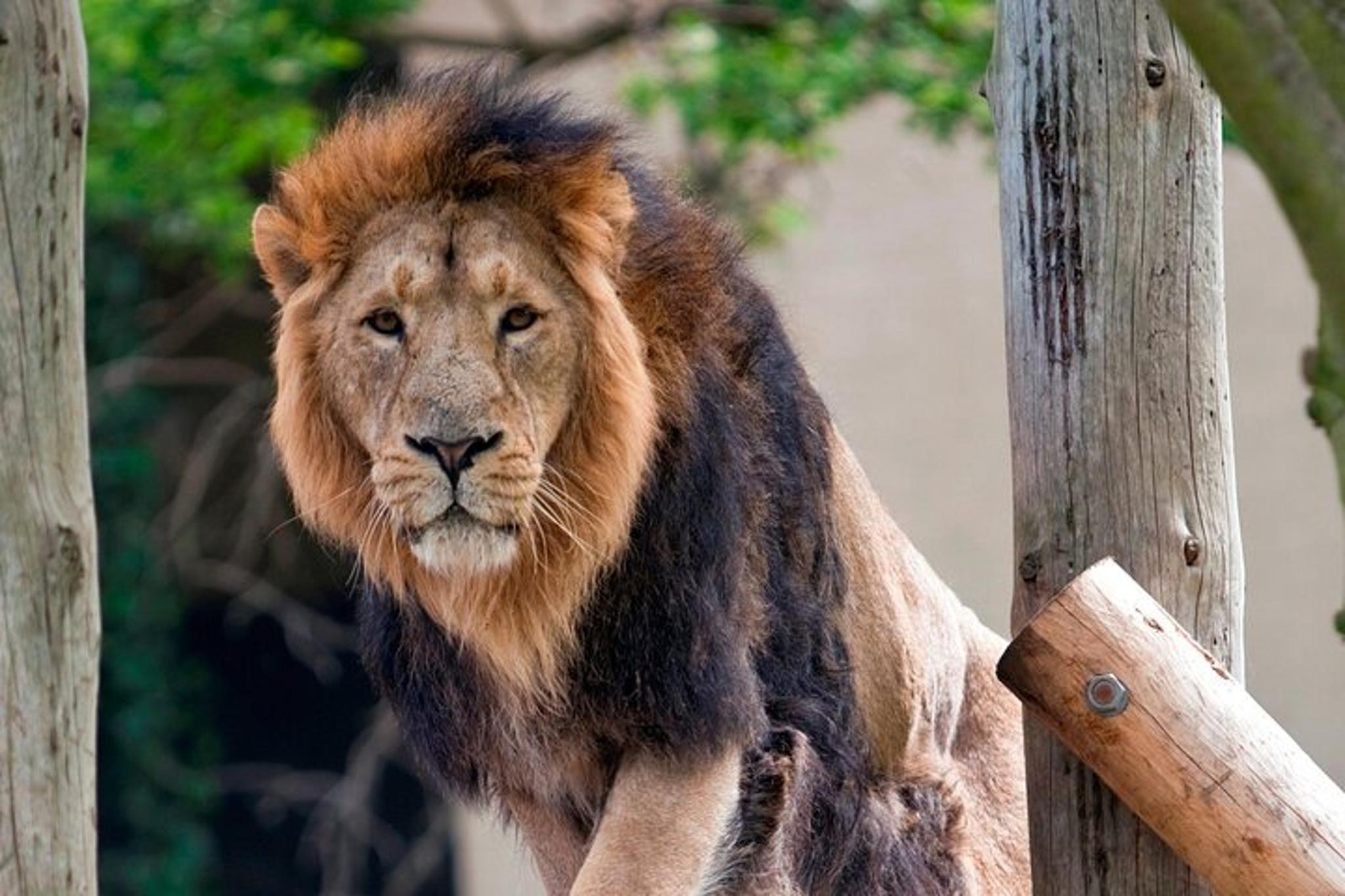 San Francisco Alcatraz and Wharf Adventure - Image 6