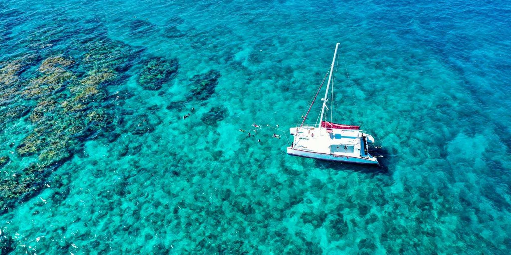 Key West Reef Snorkel Tour with Breakfast & Mimosas - Image 5