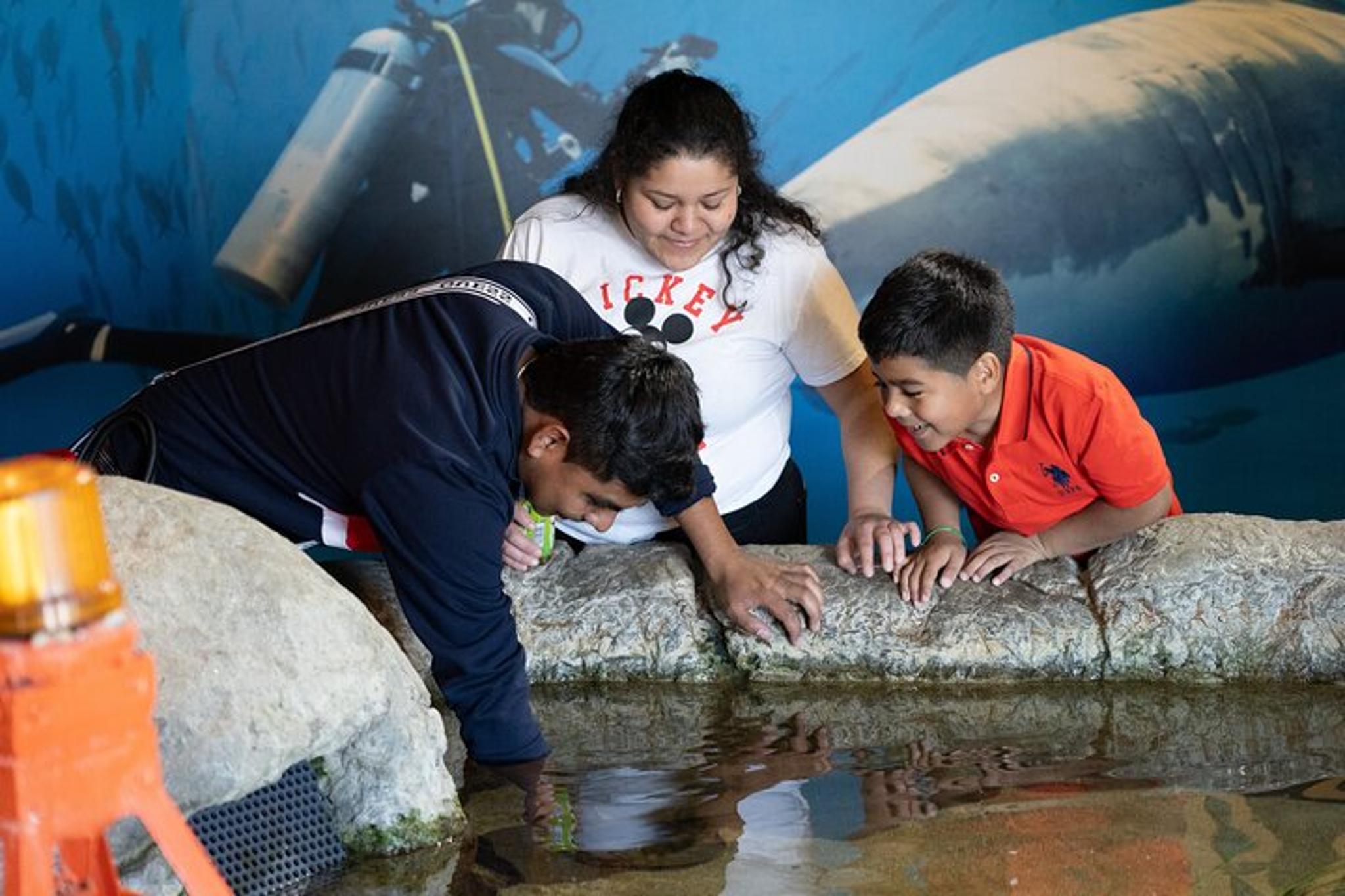 San Francisco Aquarium of the Bay Experience - Image 5