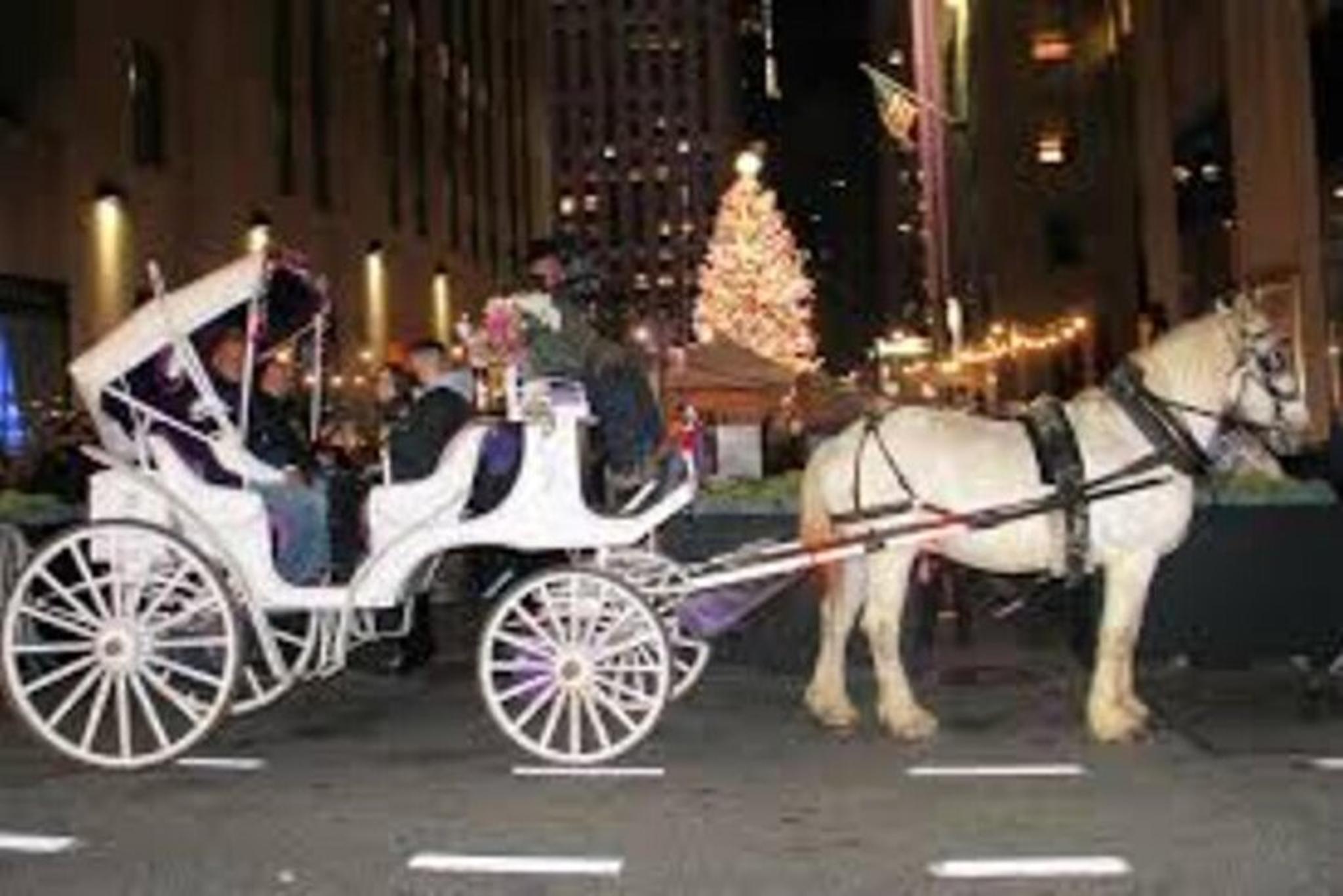 New York City Christmas Light Tour - Image 2