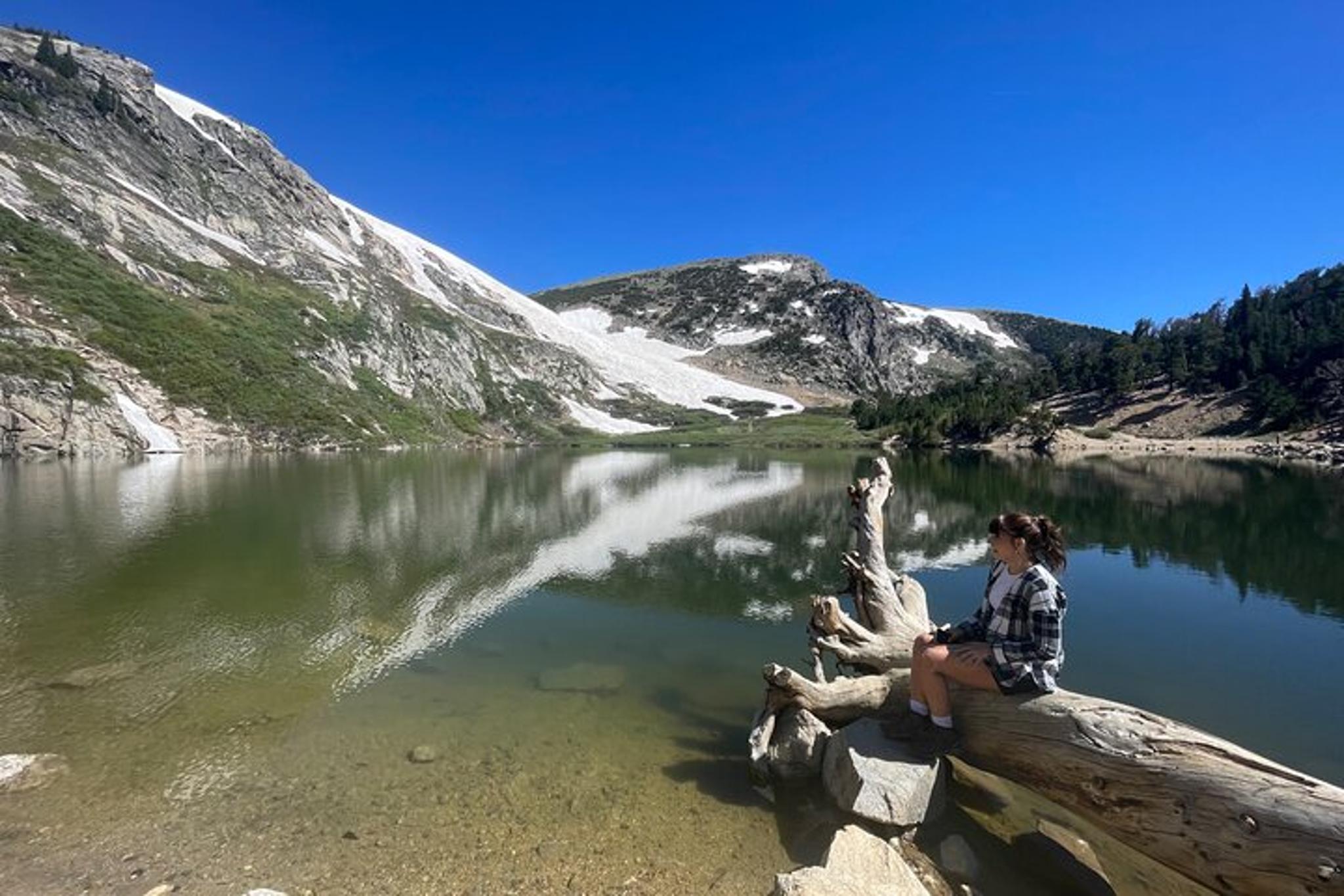 Colorado Secret Alpine Hike with Picnic - Image 2
