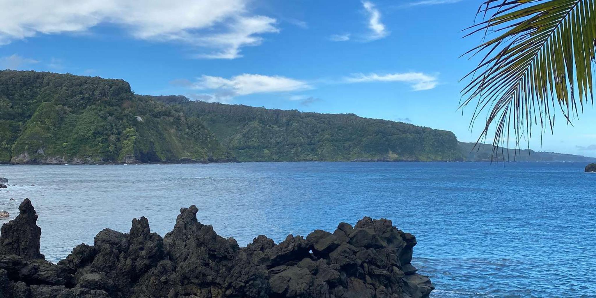 Maui Van Tour to Hana with Local Guide - Image 6